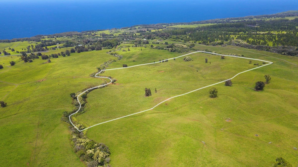 Photo of Listing #712749