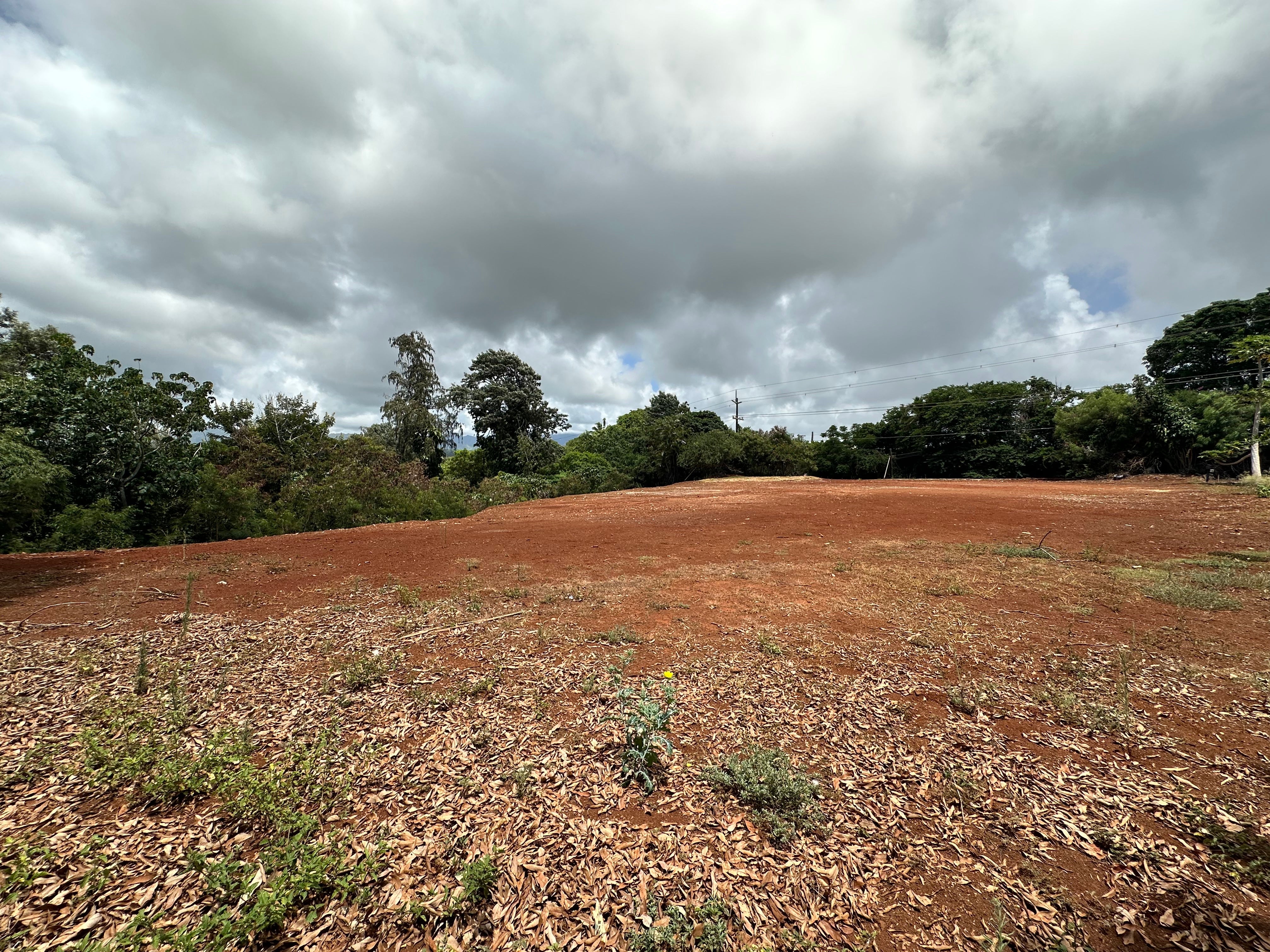 3774 Luhina St in HANAMAULU TOWN TRACT MLS® 713333 For Sale