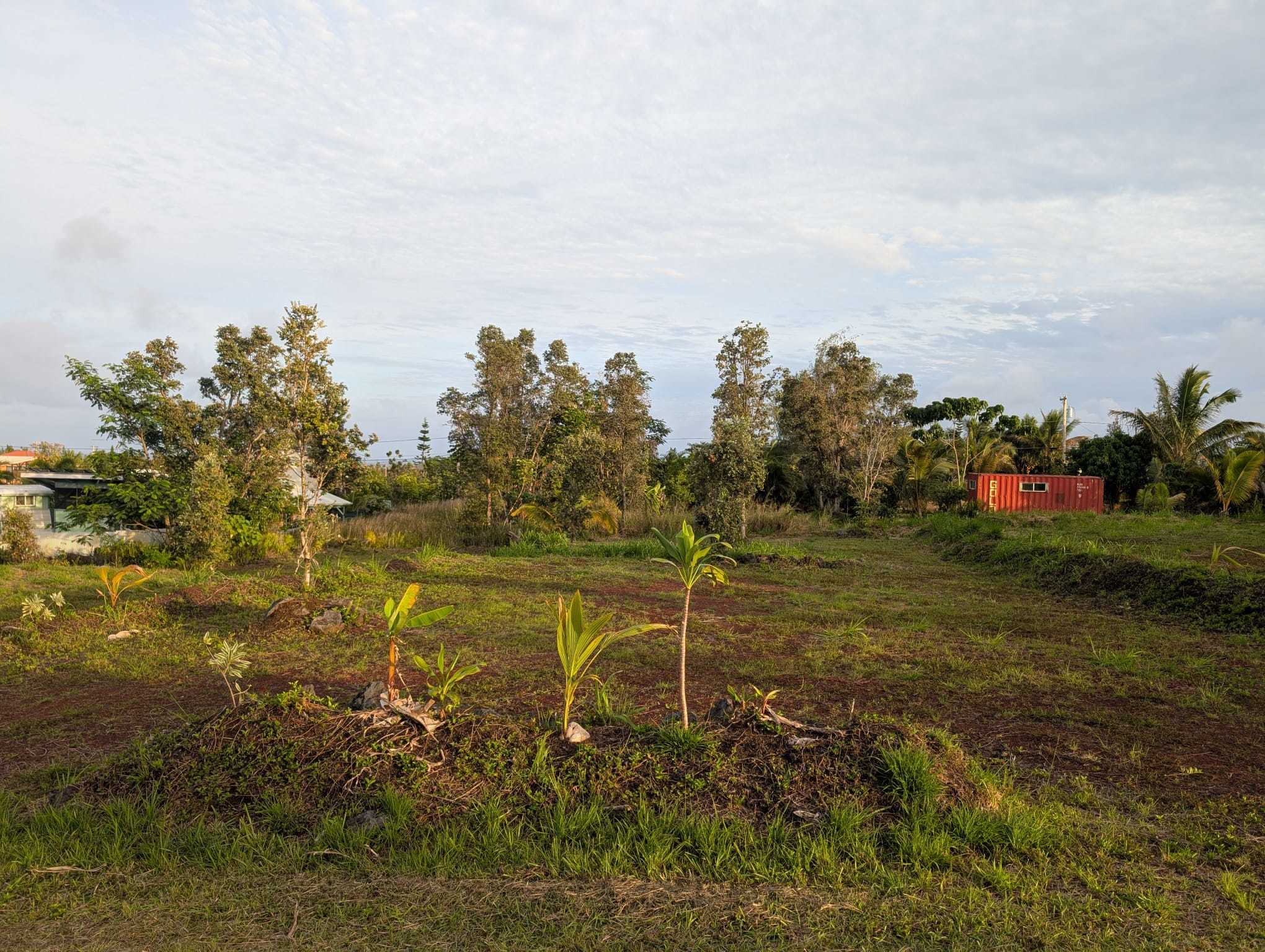 Photo of Listing #714659