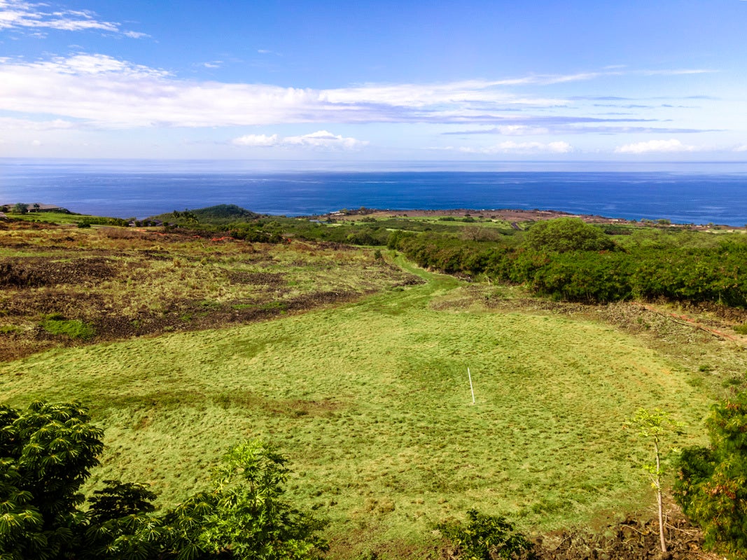 Photo of Listing #715239