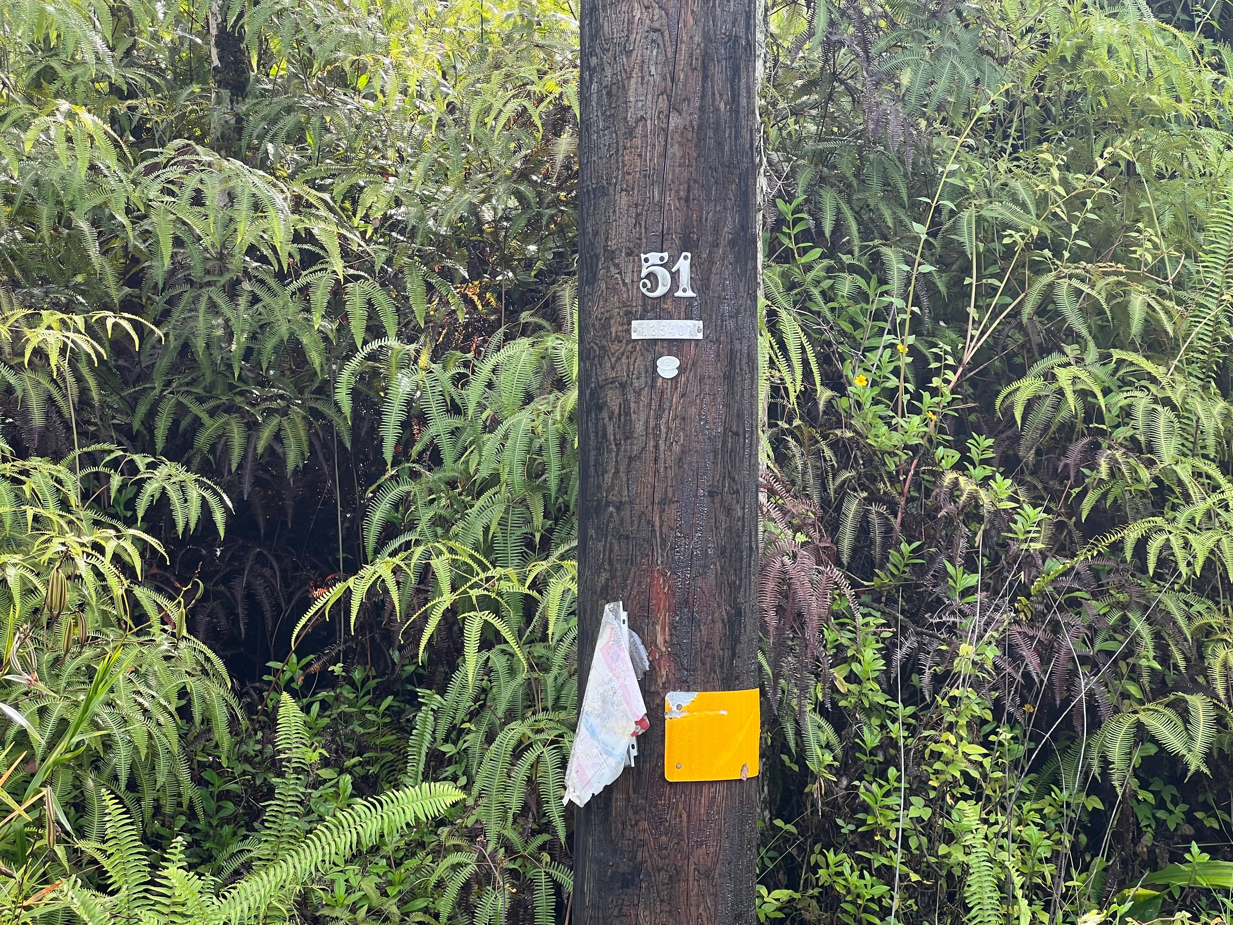 Kauai Rd in NANAWALE ESTATES SUBDIVISION MLS® 715302 For Sale 8,000