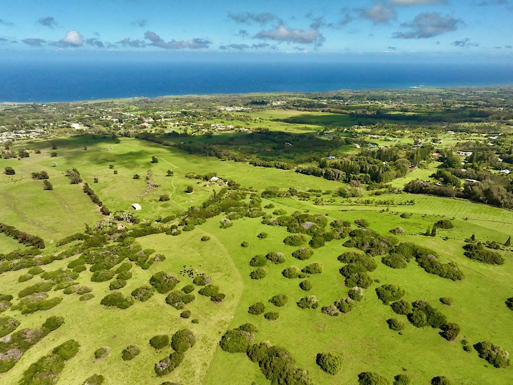 Photo of Listing #717191