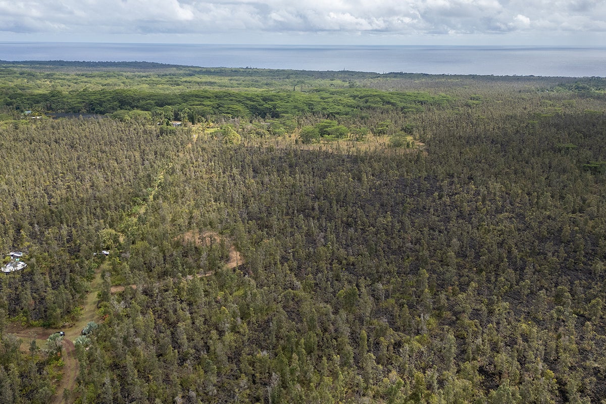 Photo of Listing #717331