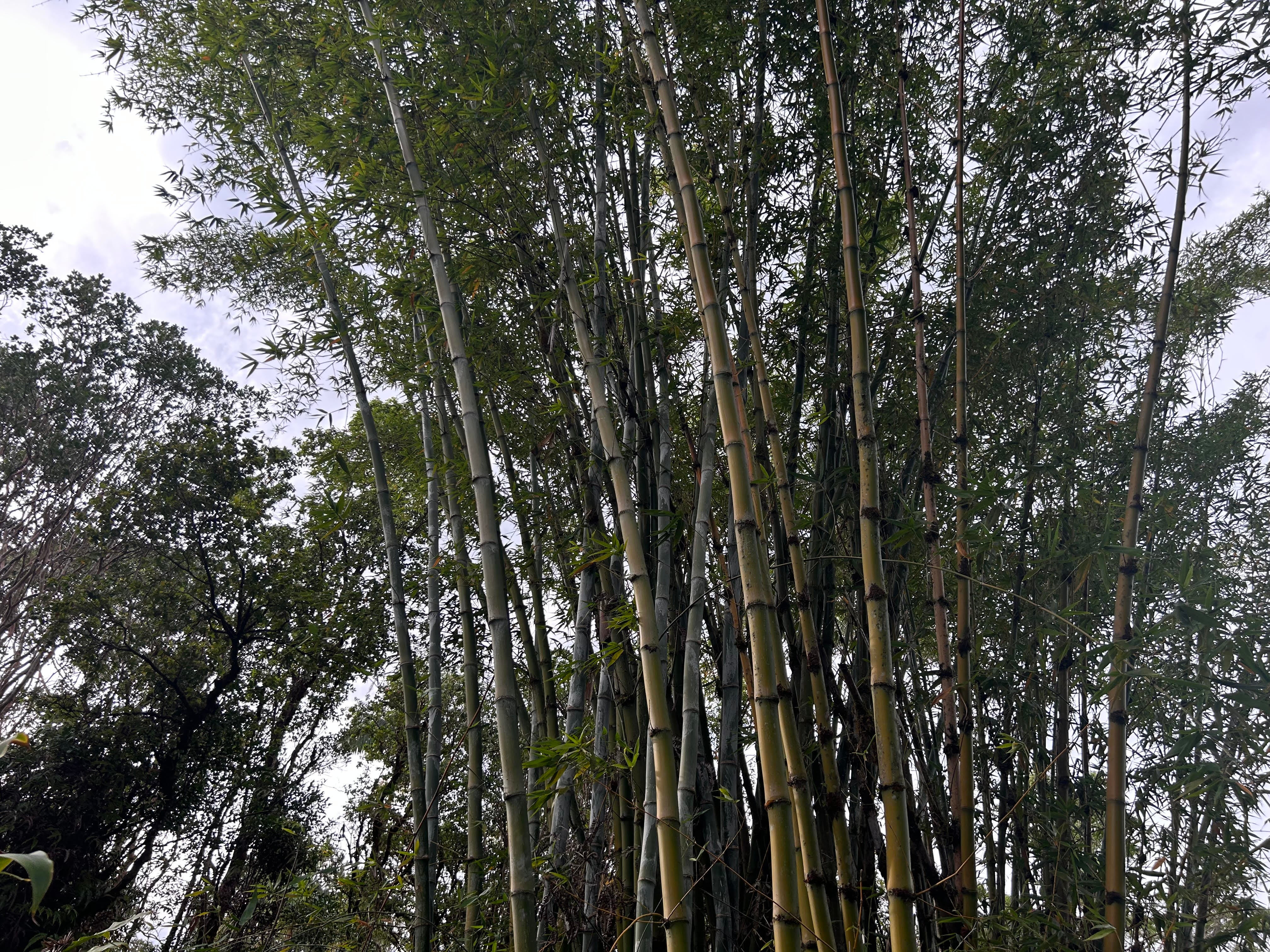 Photo of Listing #717908