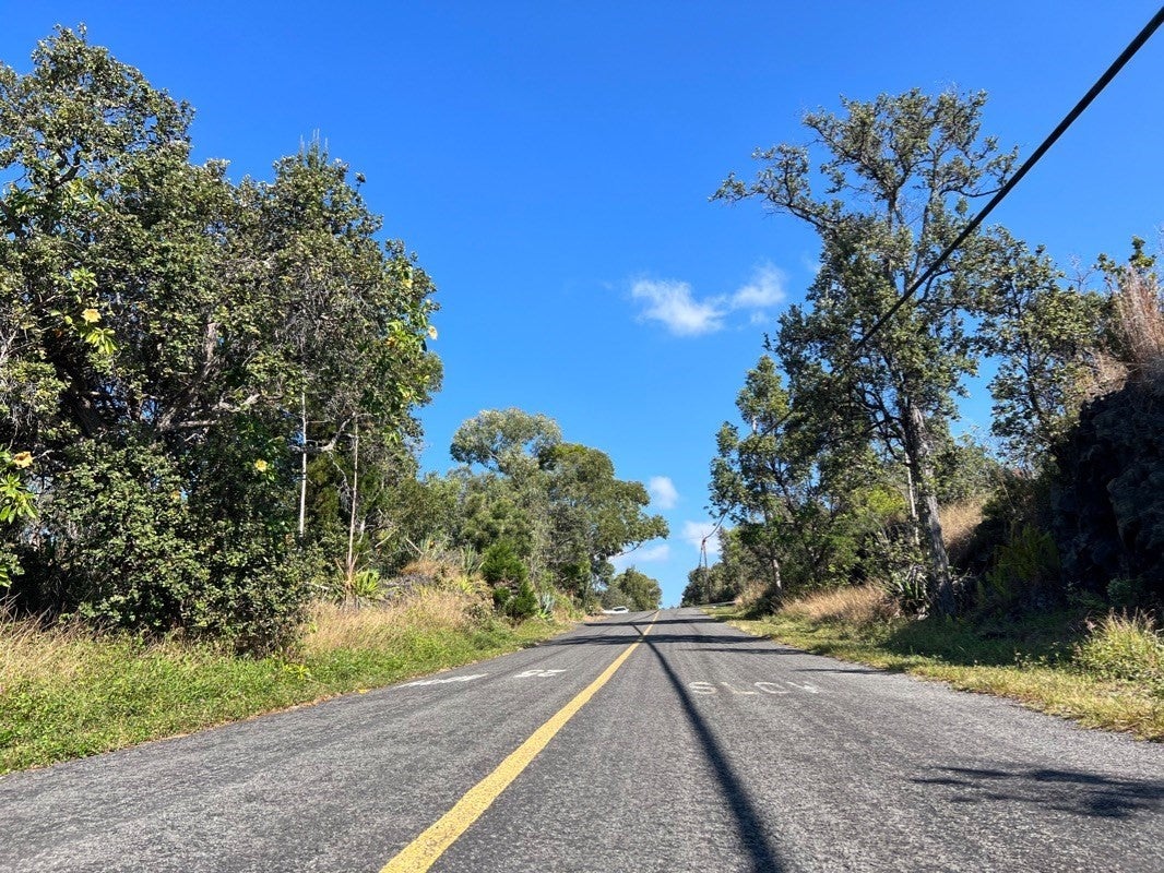 Photo of Listing #717964