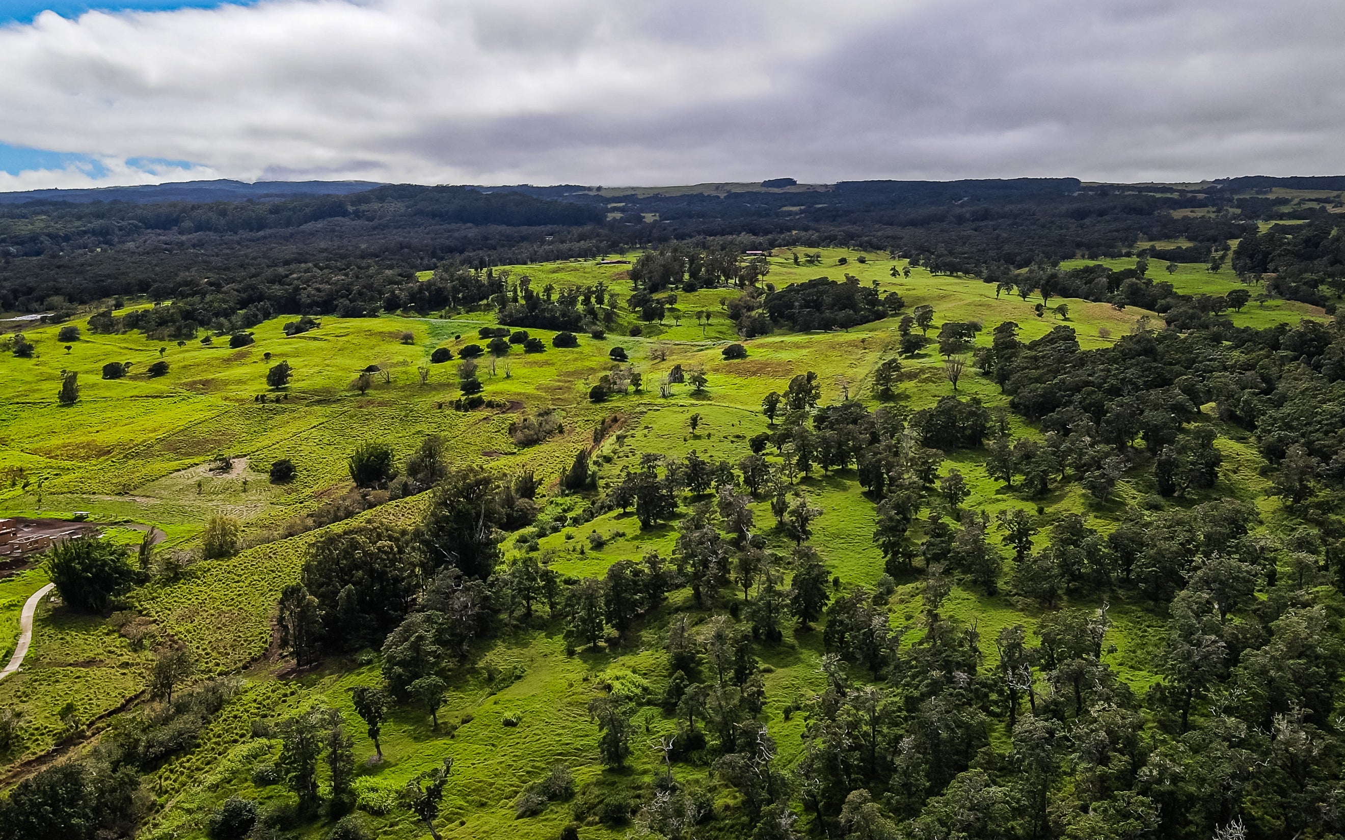 Photo of Listing #718143