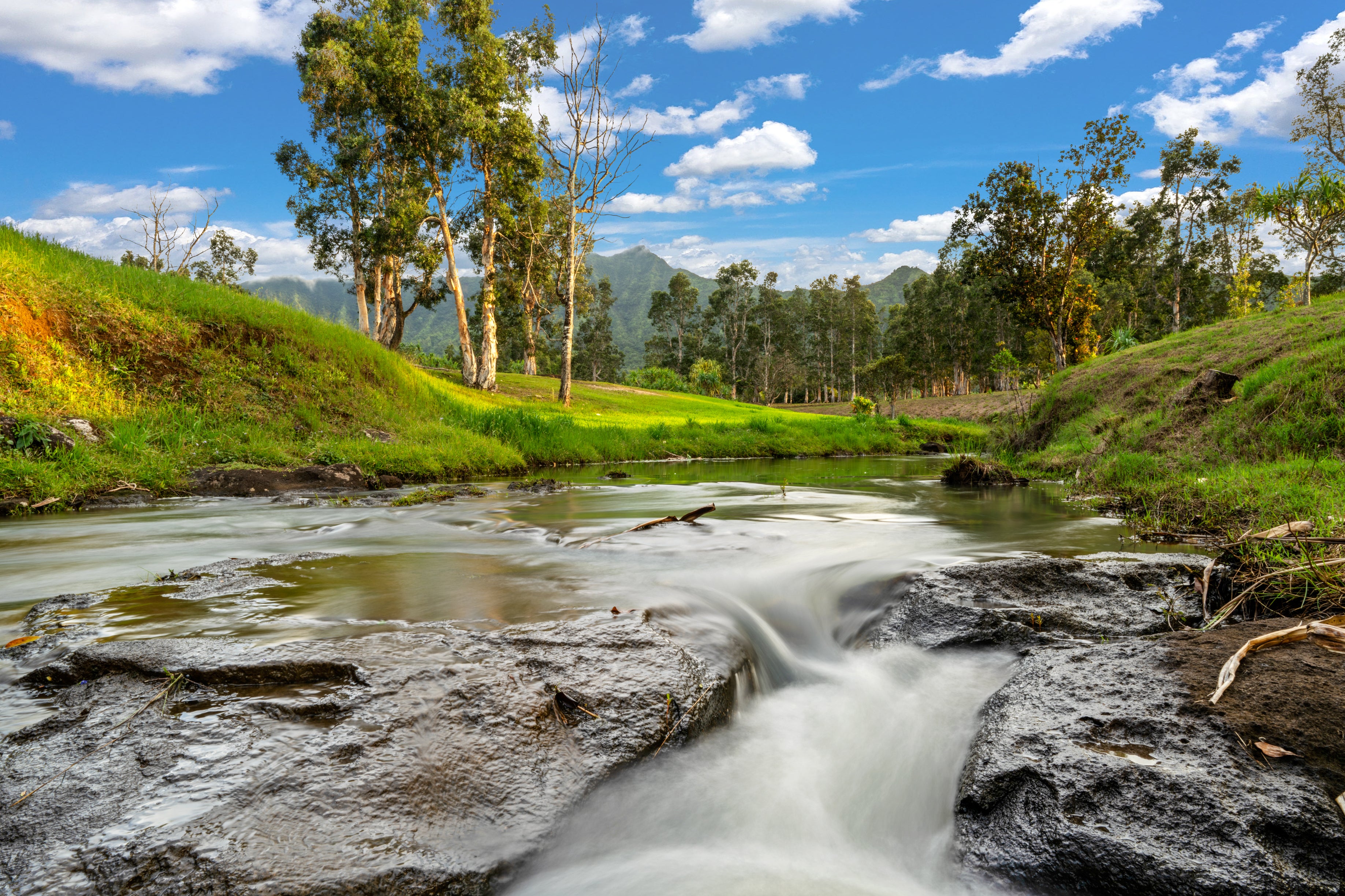 Photo of Listing #719312