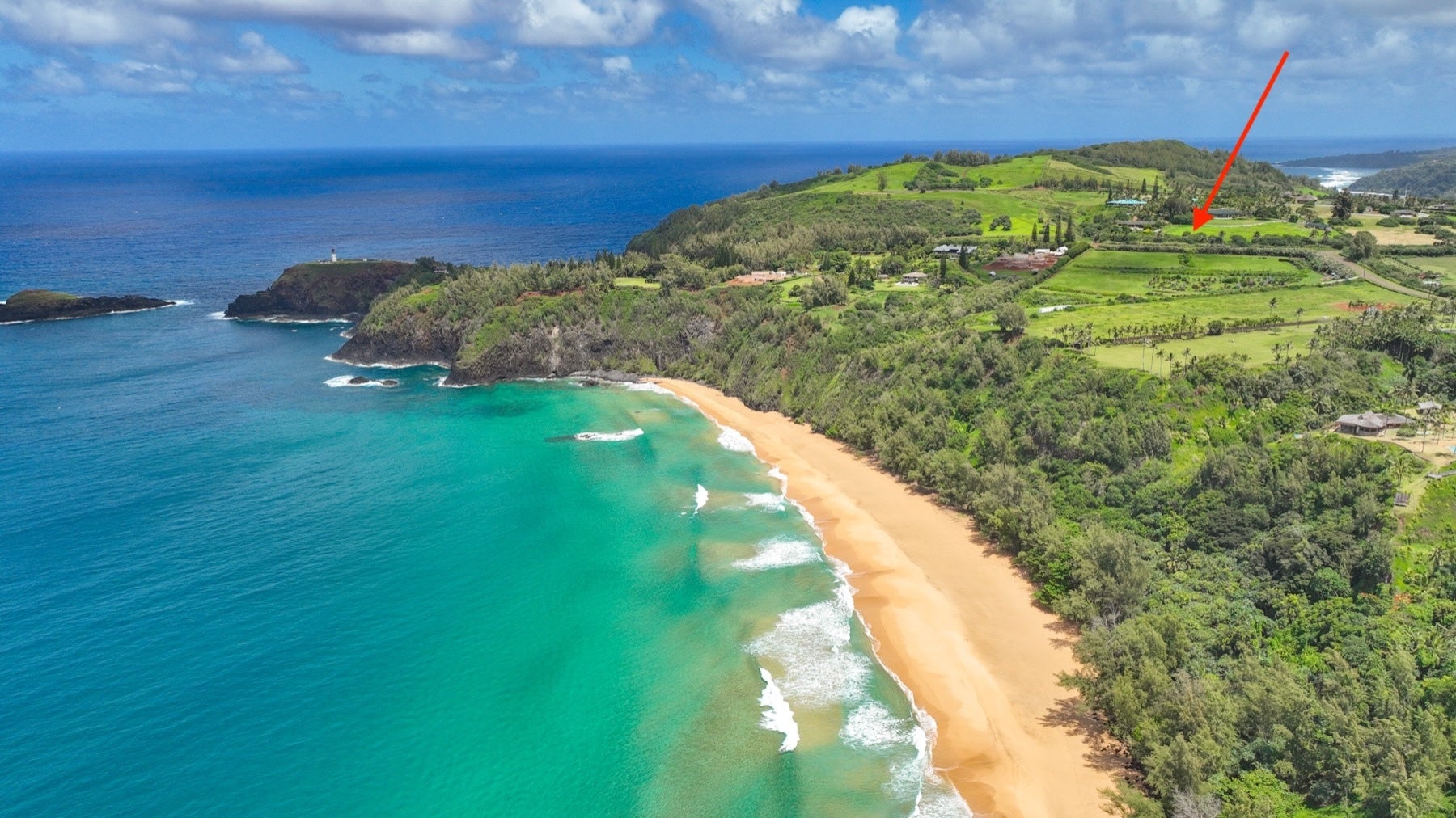 Photo of Listing #720036