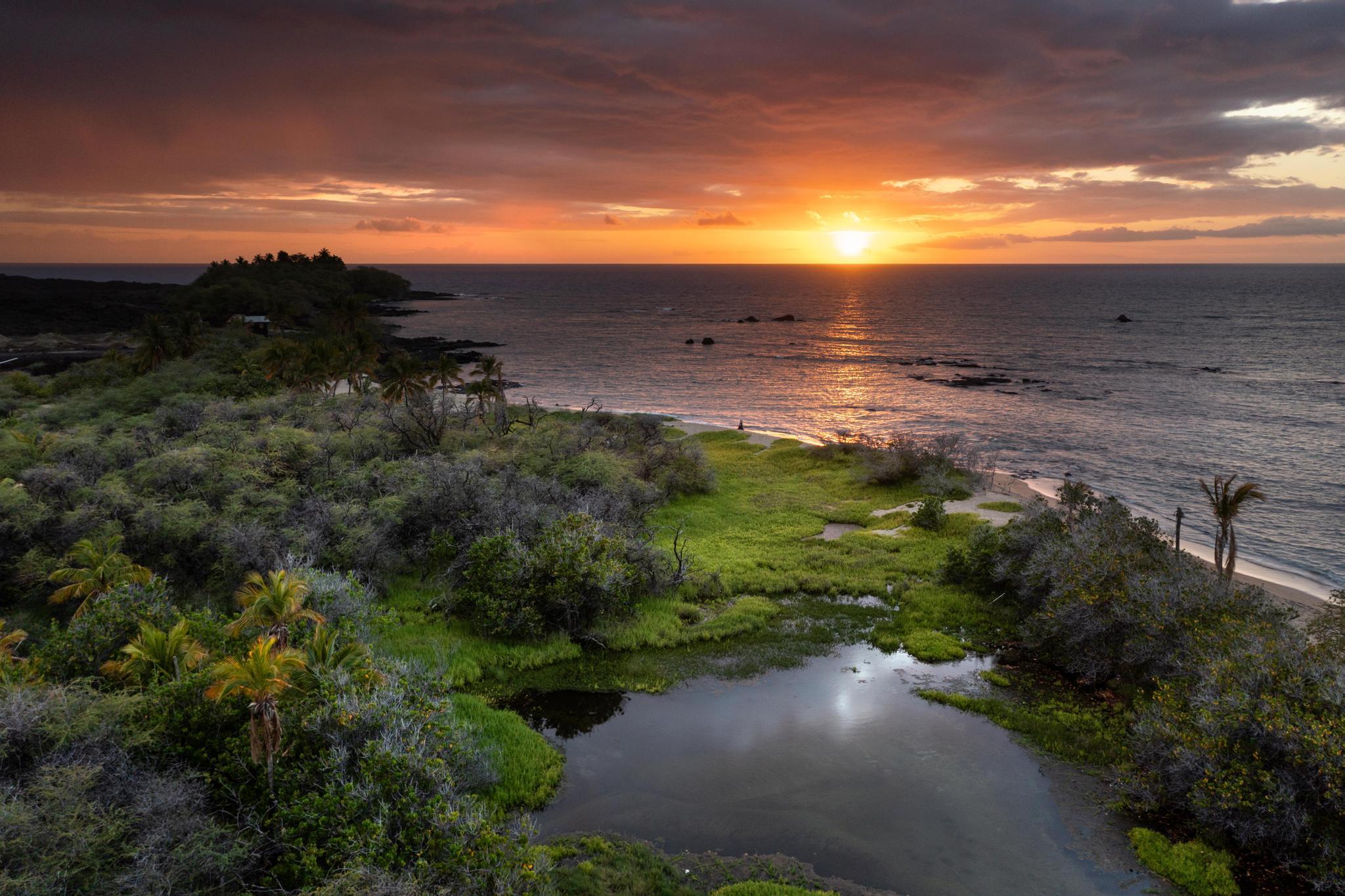 Photo of Listing #720274