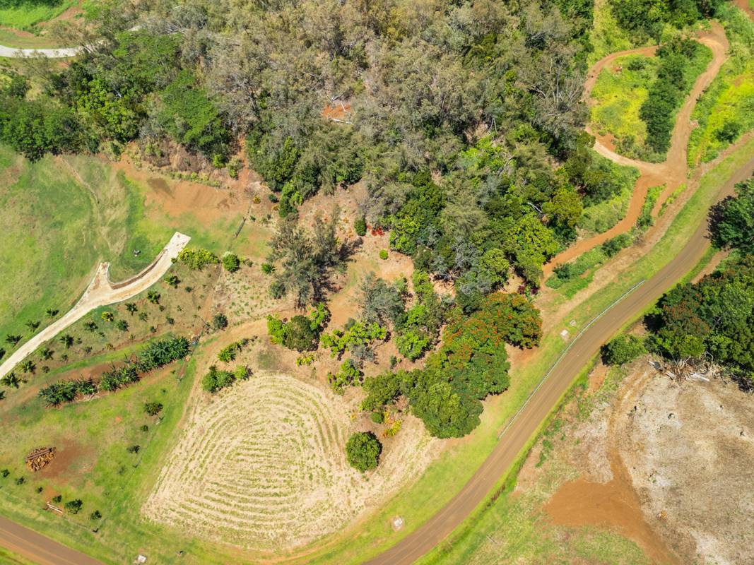 Photo of Listing #720889