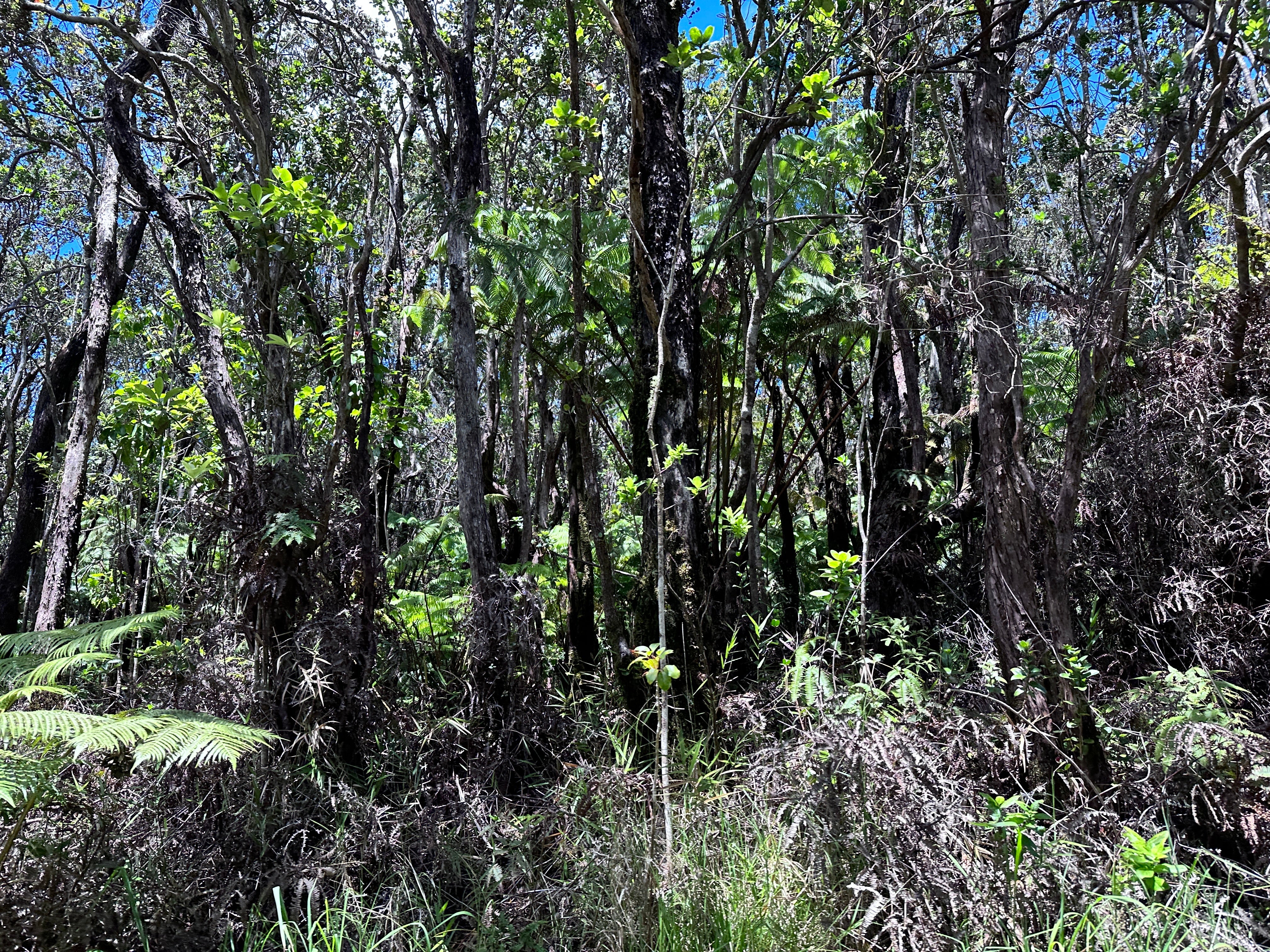 Photo of Listing #720930