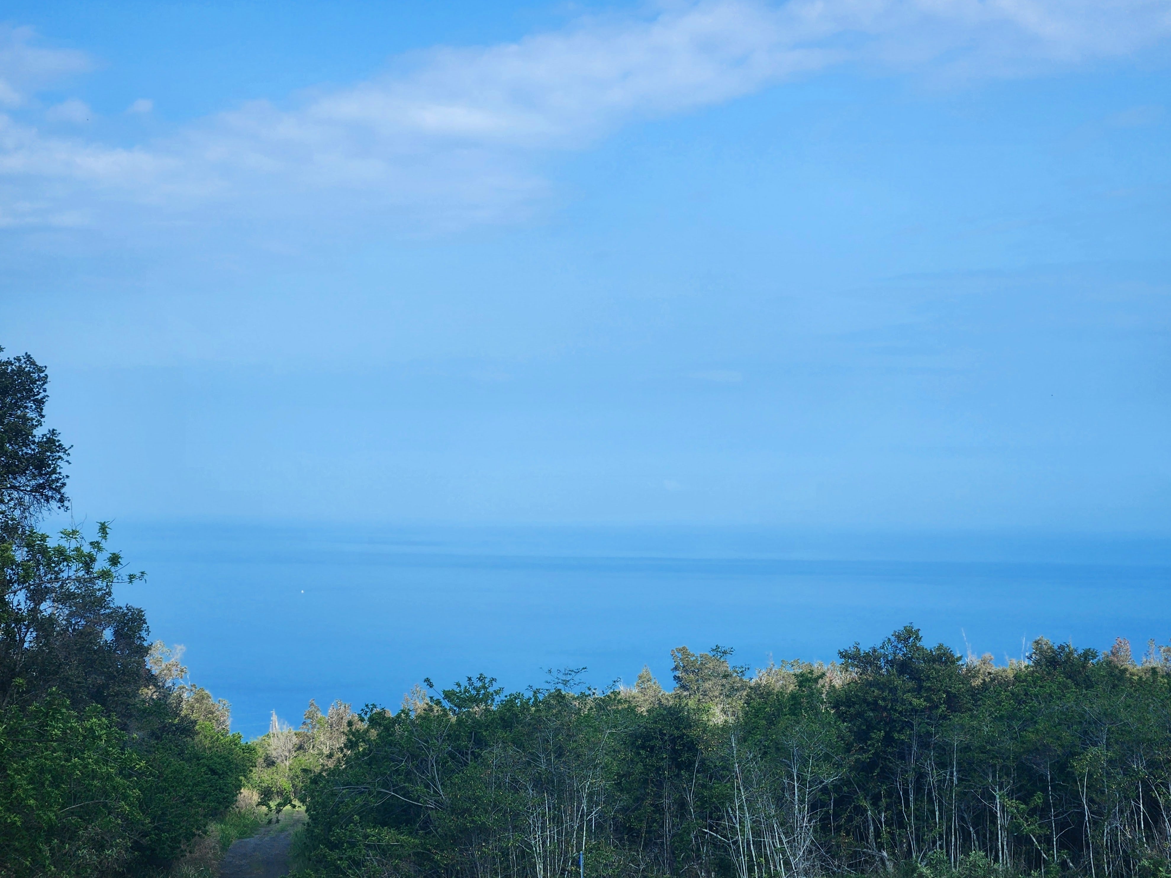 Photo of Listing #721100