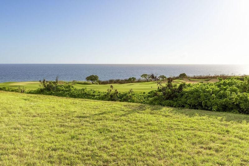 Photo of Listing #721147