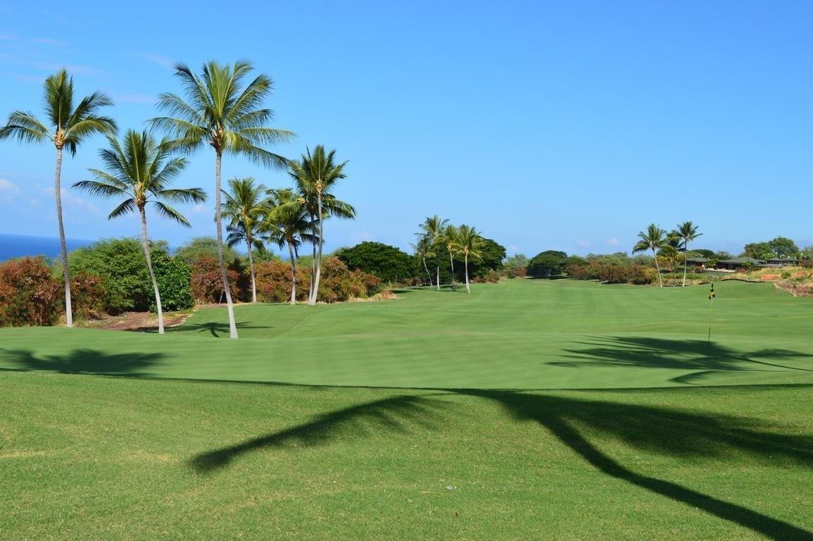 Photo of Listing #721359