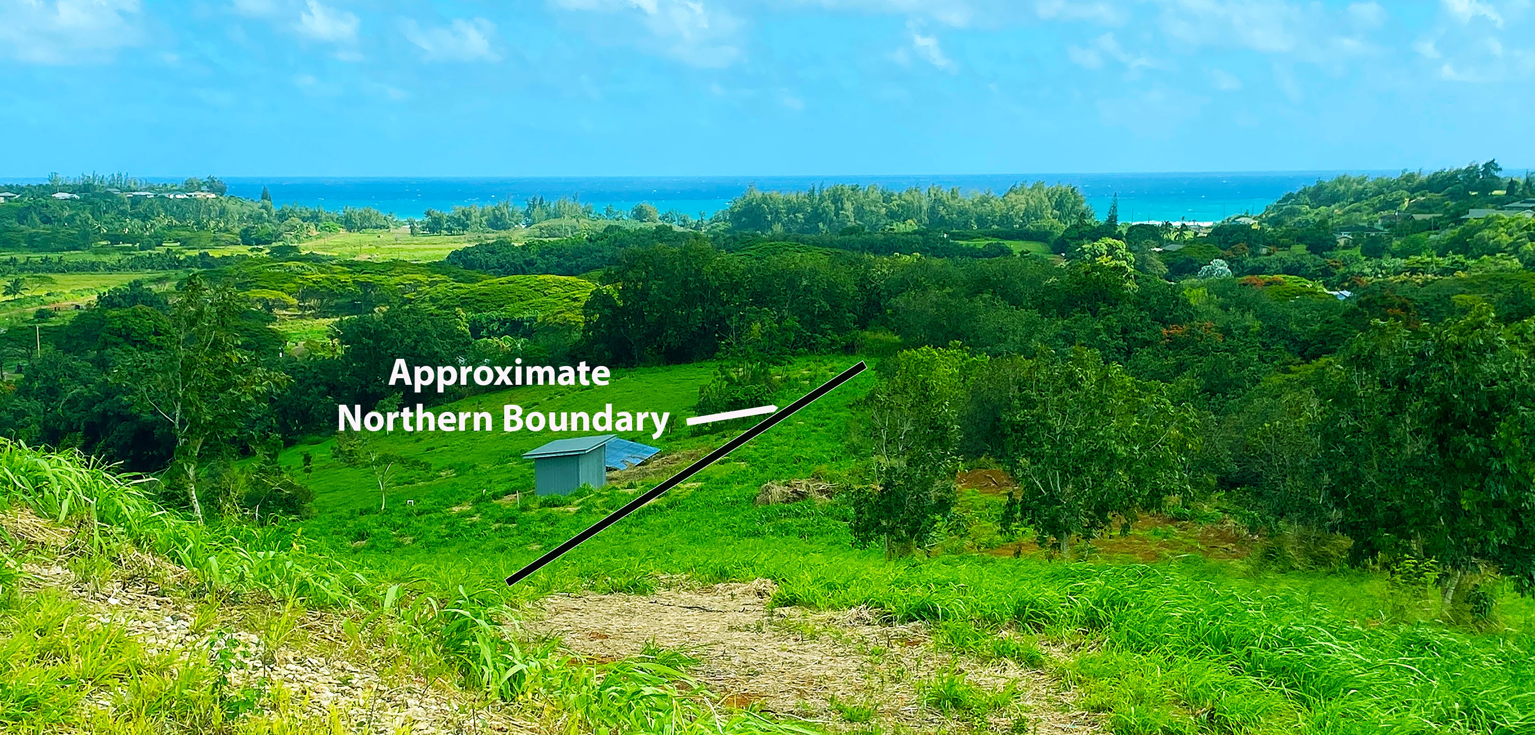 Photo of Listing #721549