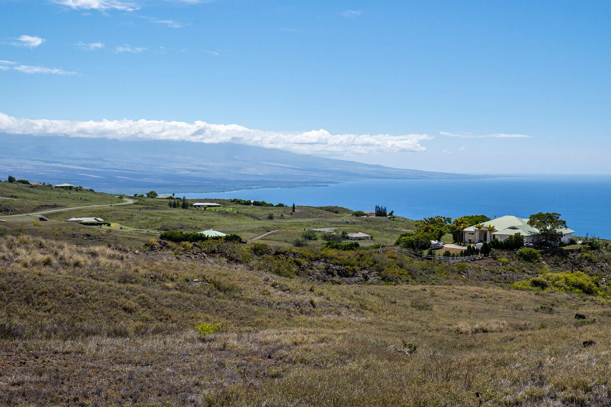 Photo of Listing #721657