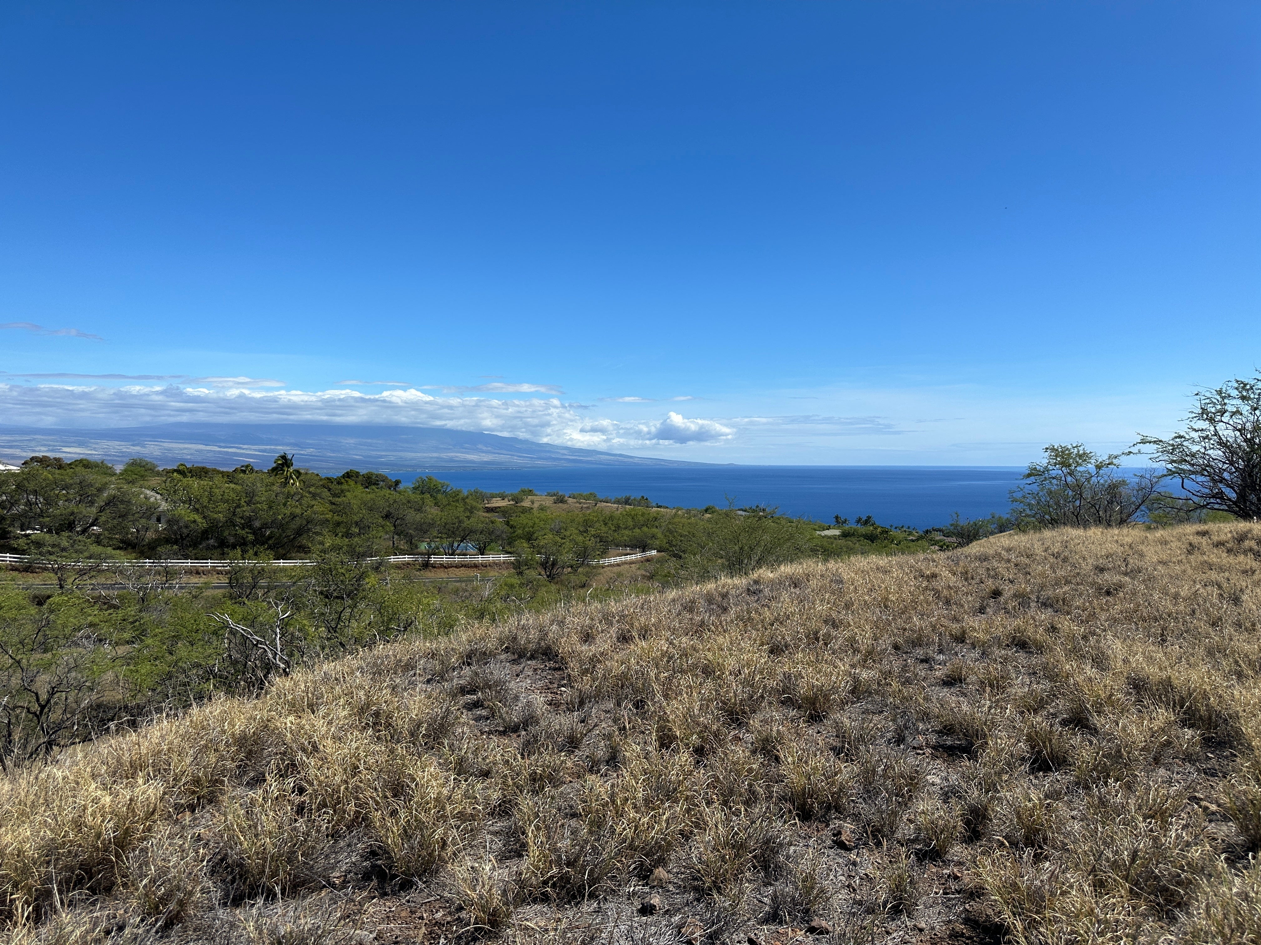 Photo of Listing #721658