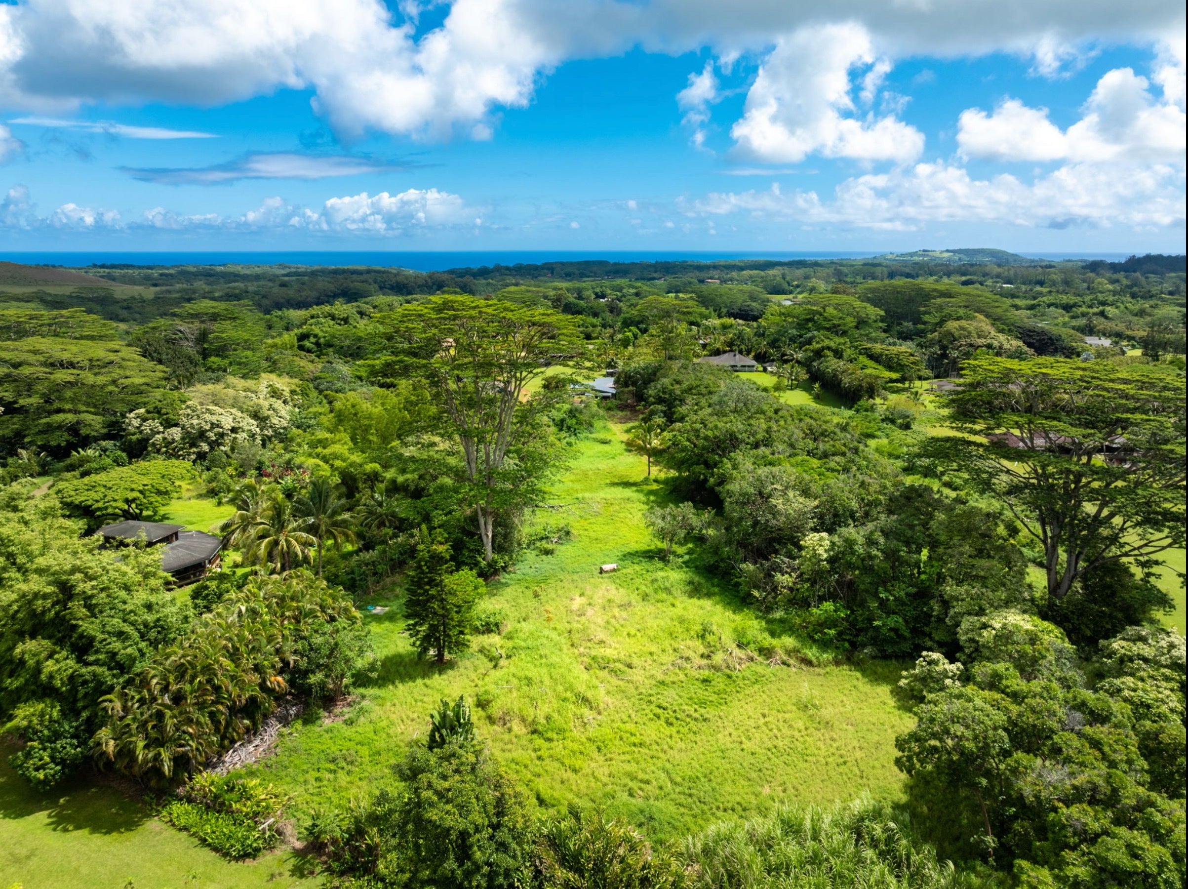 Photo of Listing #721665