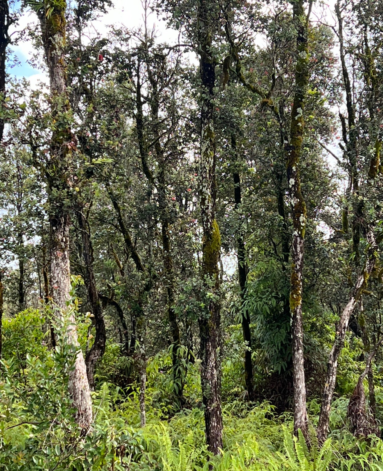 Photo of Listing #721725