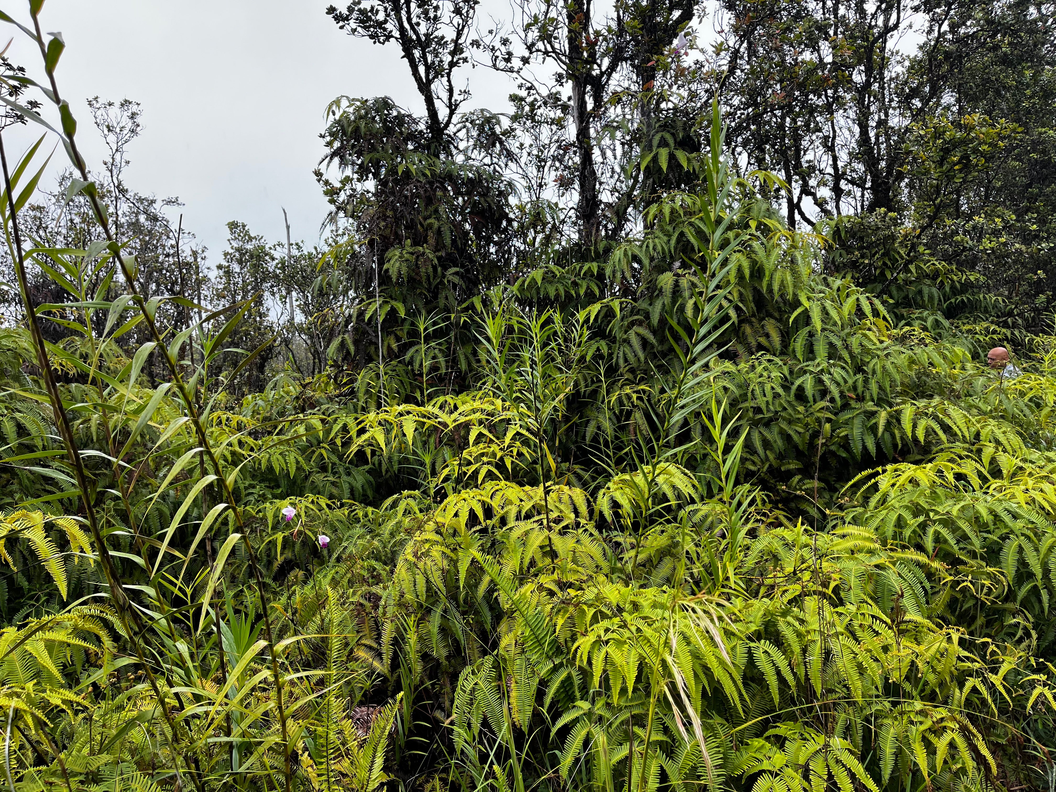 Photo of Listing #721768