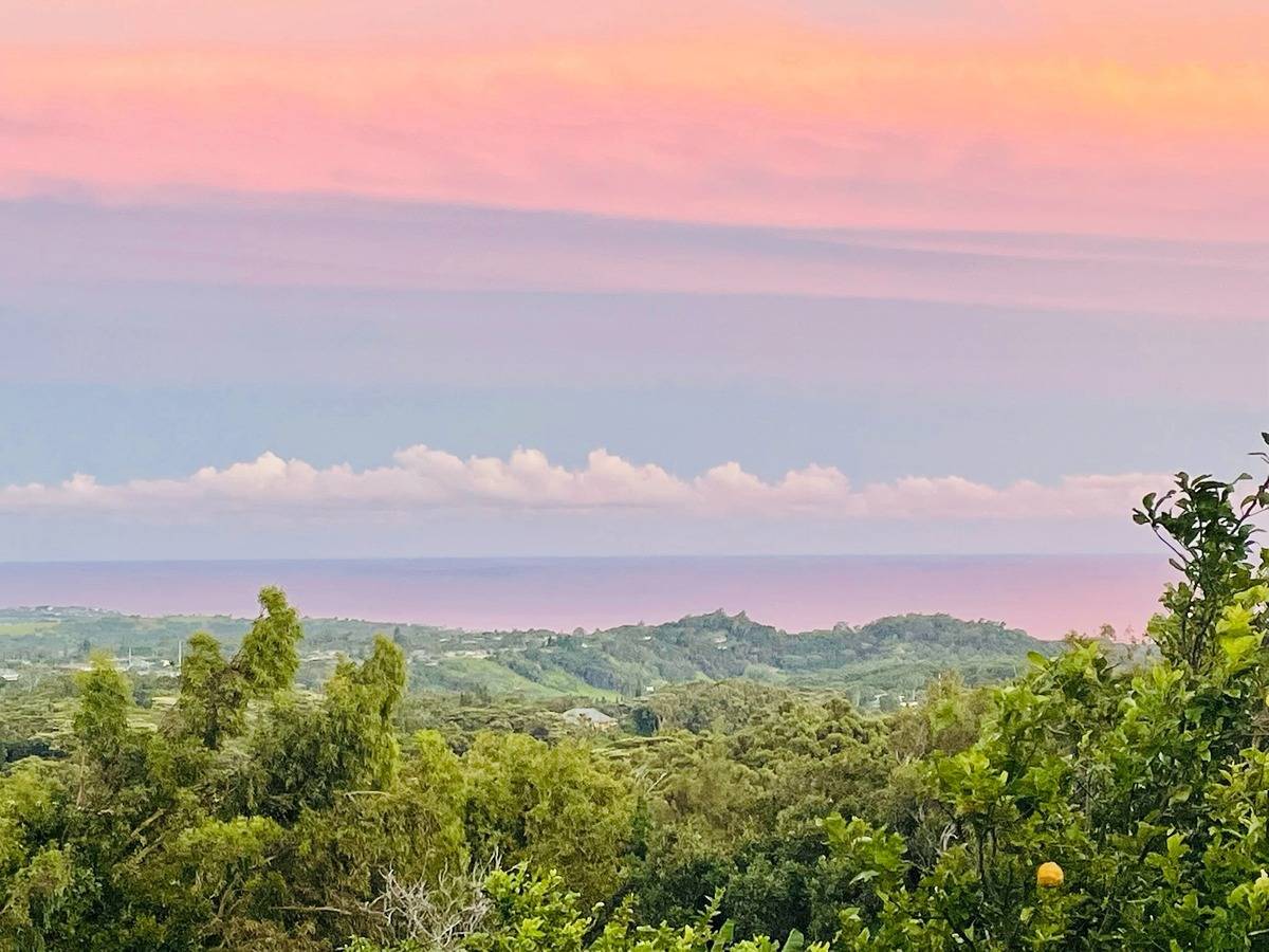 Photo of Listing #722018