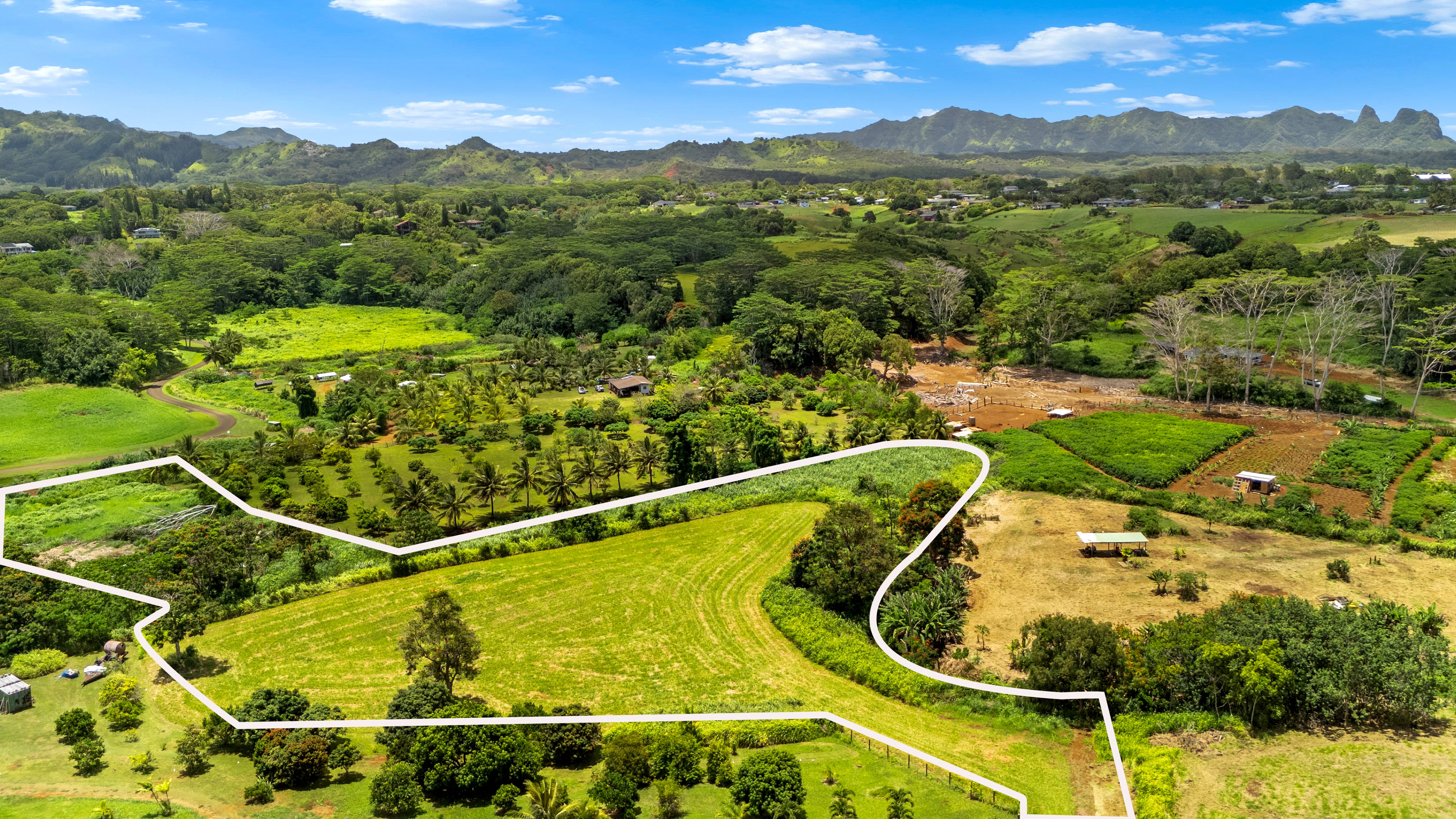 Photo of Listing #722120