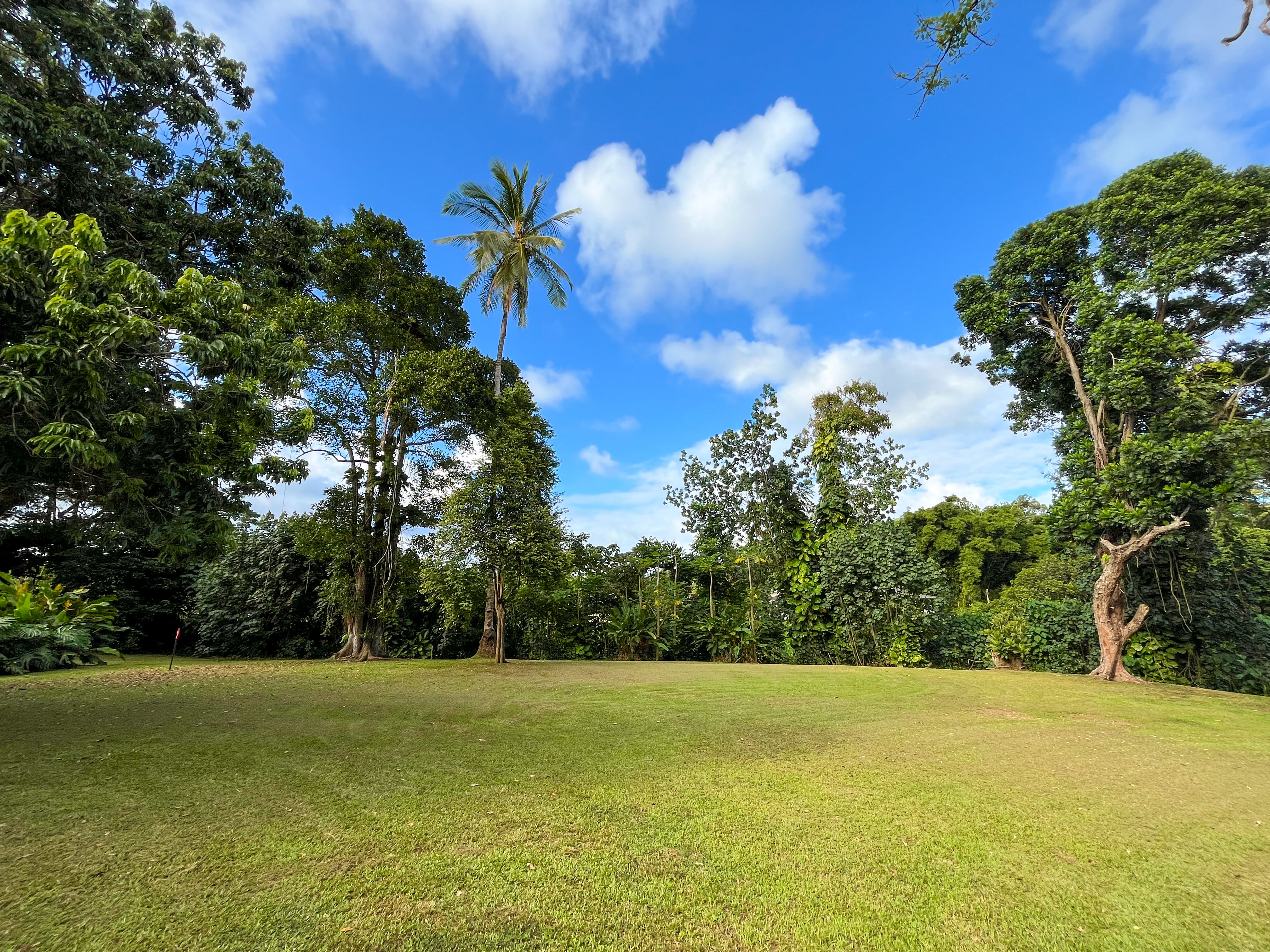 Photo of Listing #722125