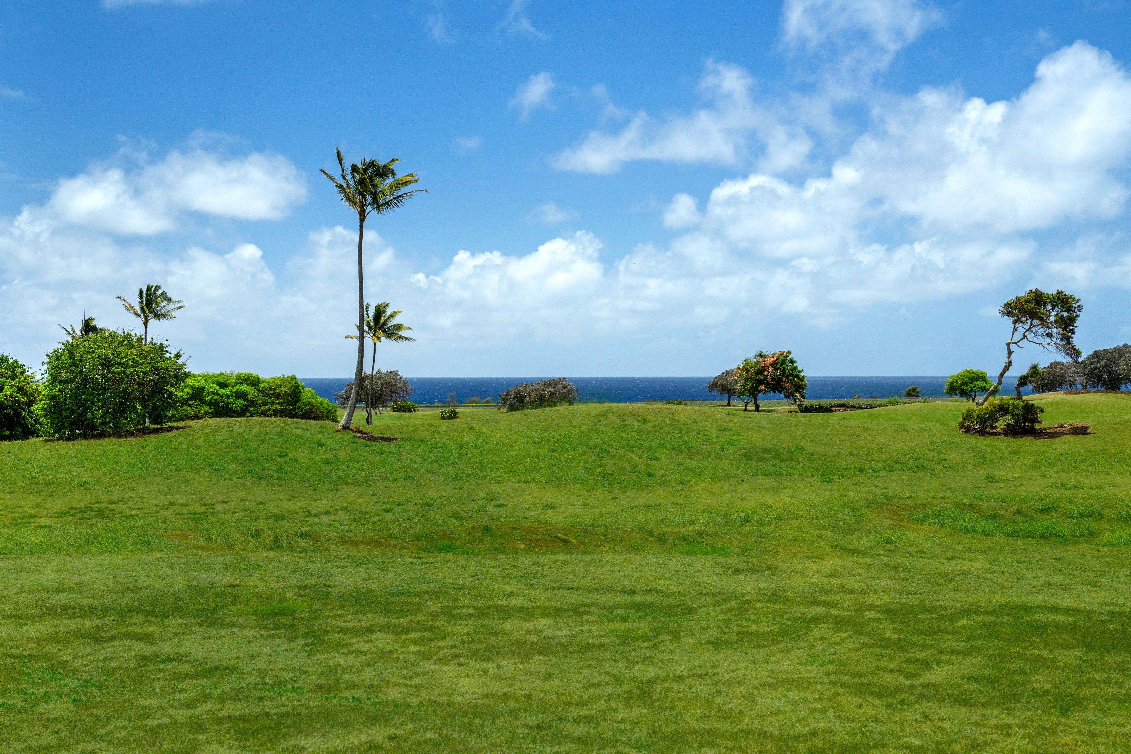 Photo of Listing #722183