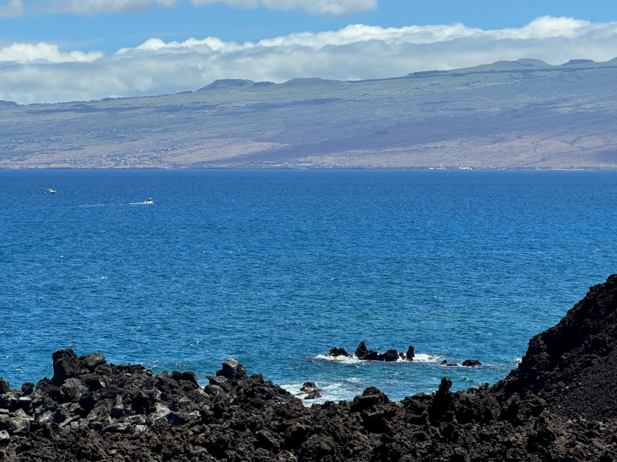 Photo of Listing #724115