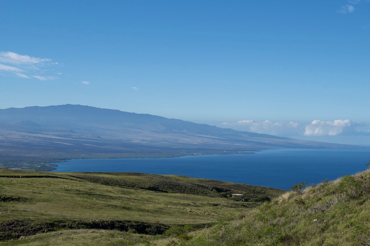 Photo of Listing #724236