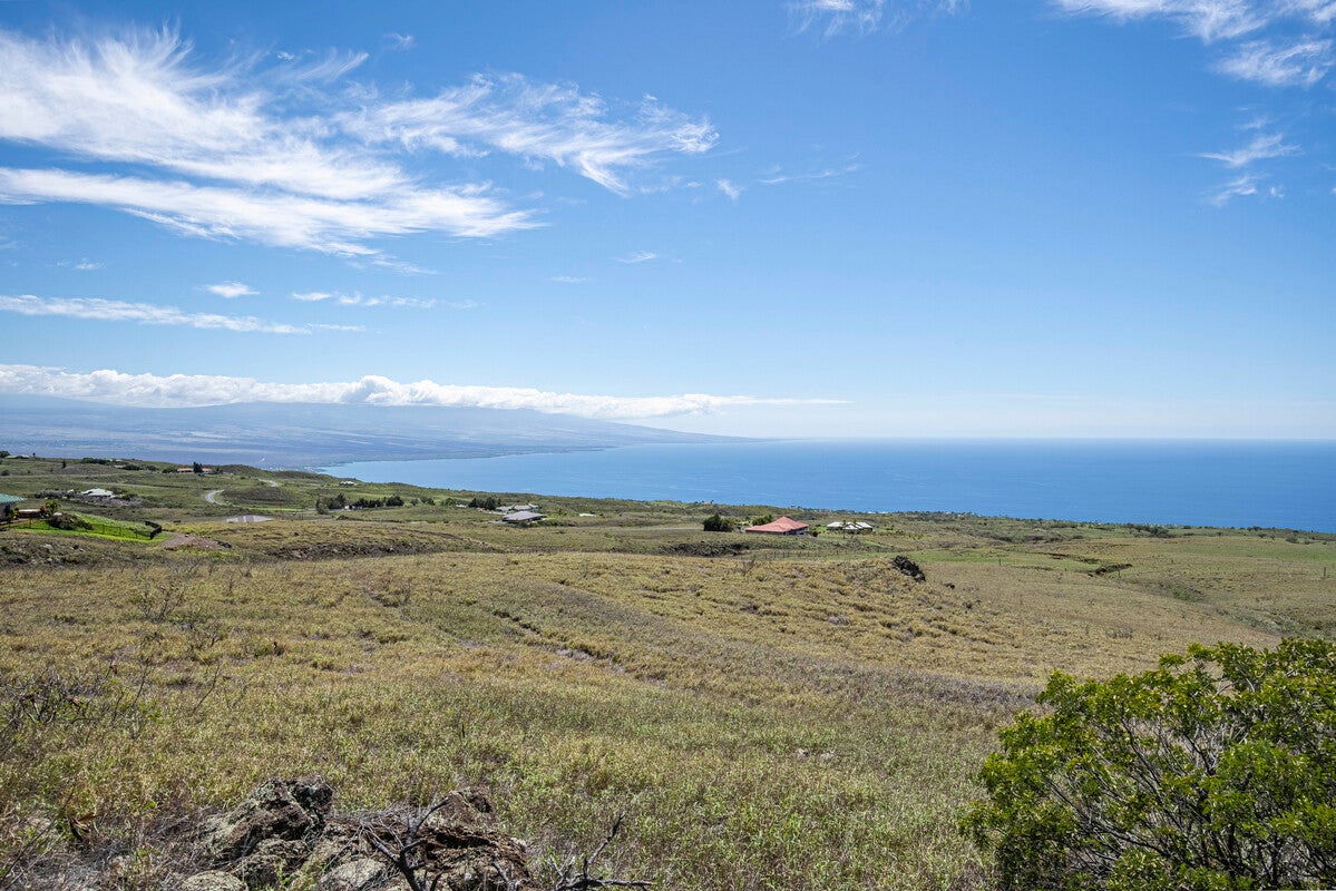 Photo of Listing #724332