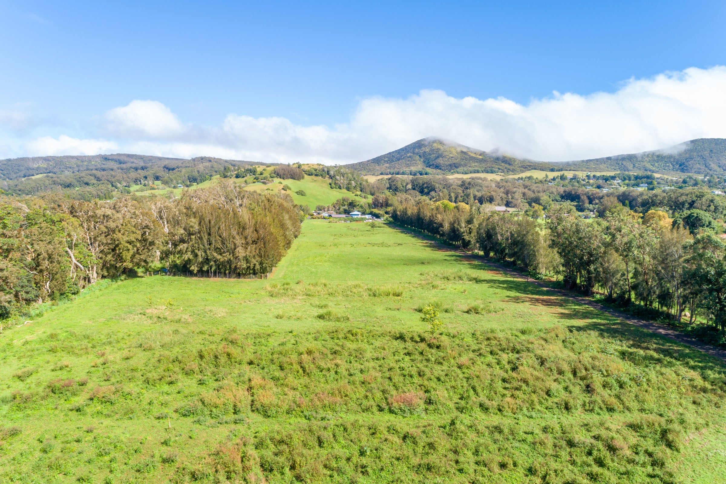 Photo of Listing #724372