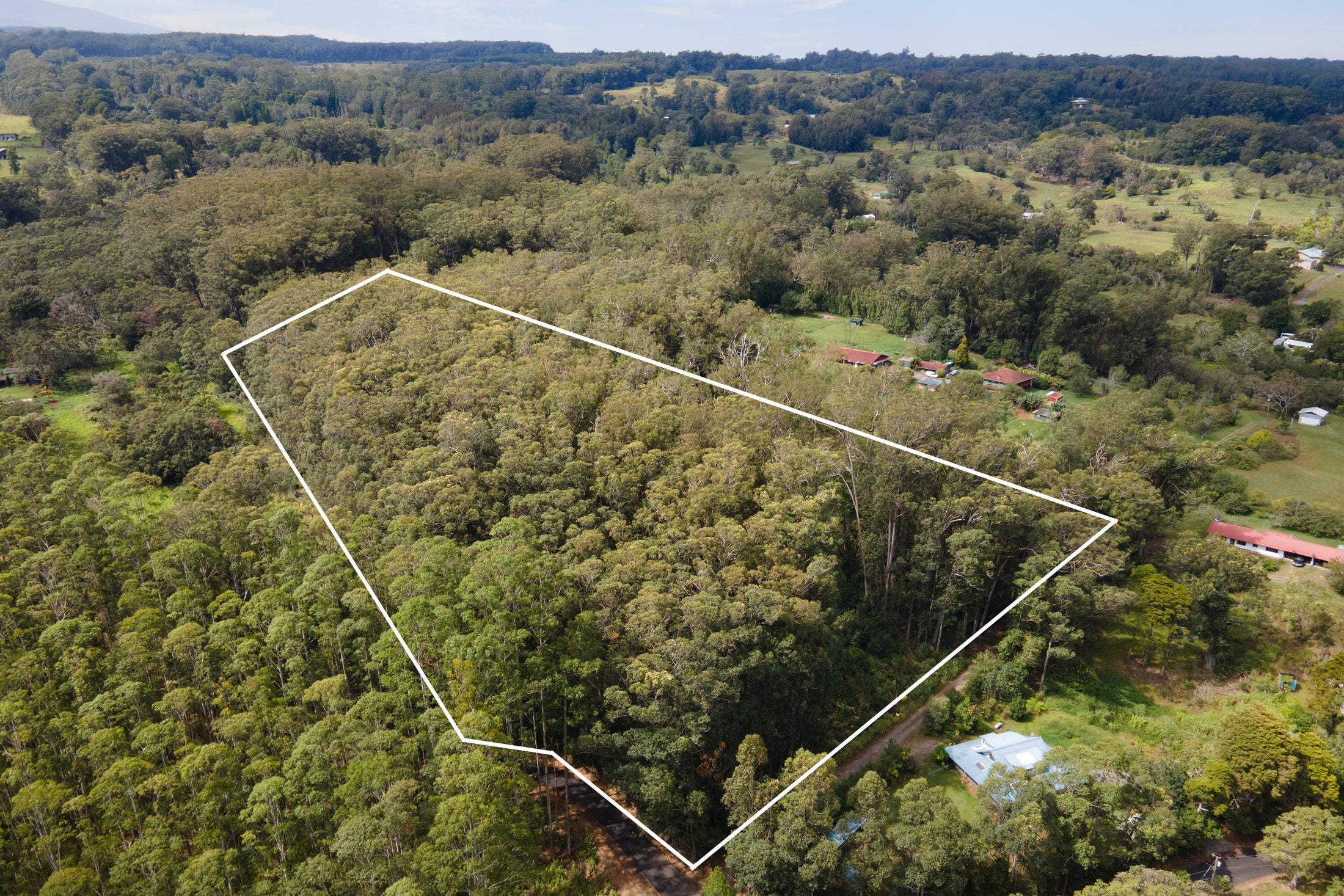 Photo of Listing #724539