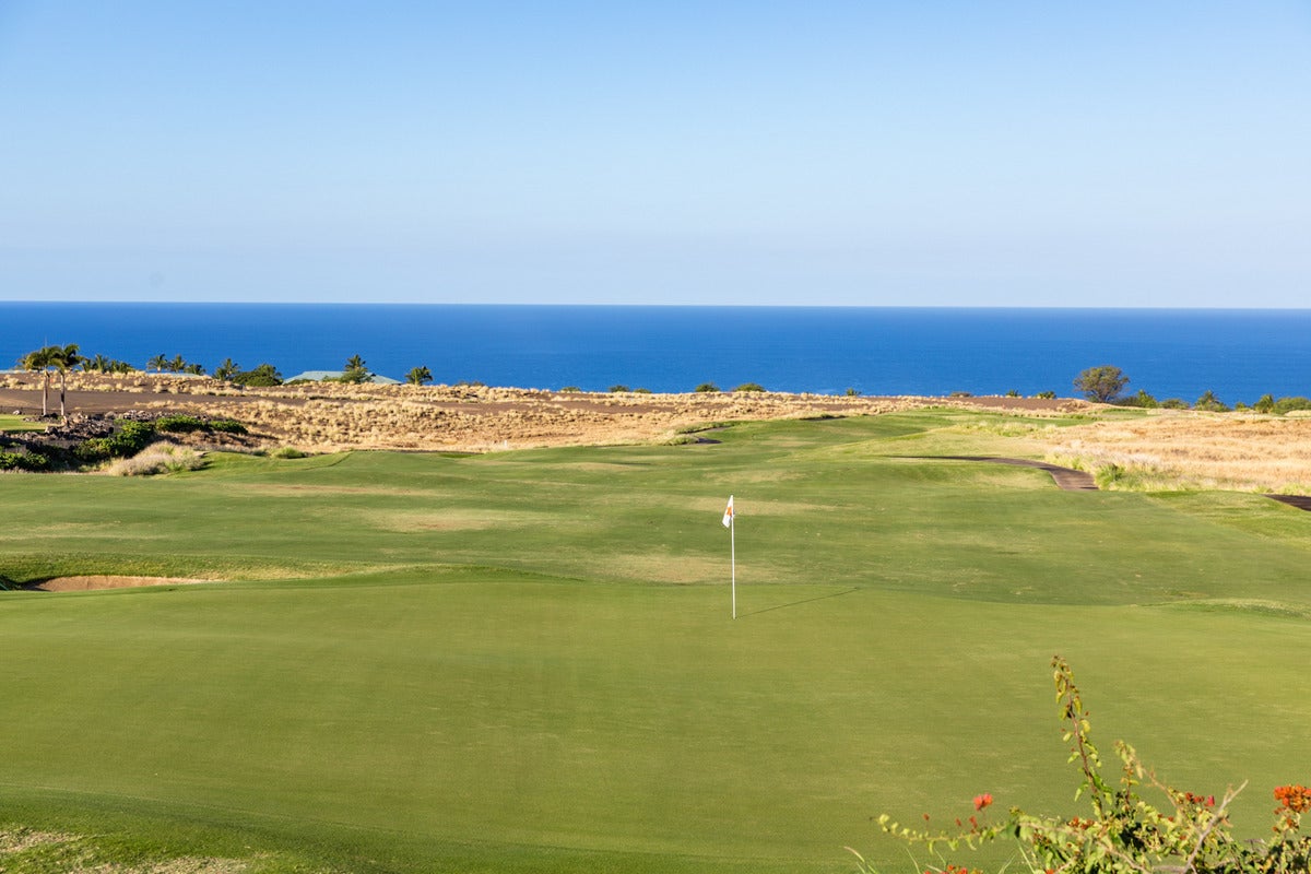 Photo of Listing #724587