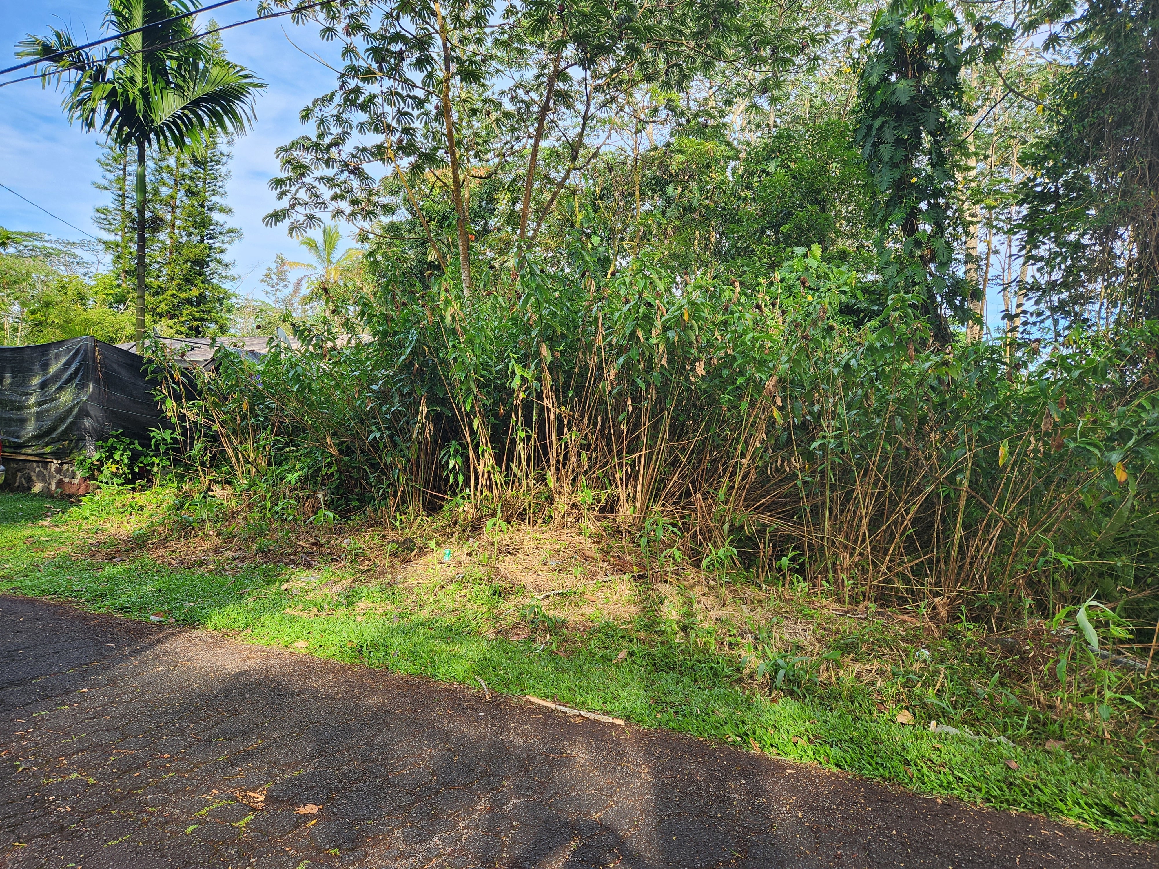 Photo of Listing #724717