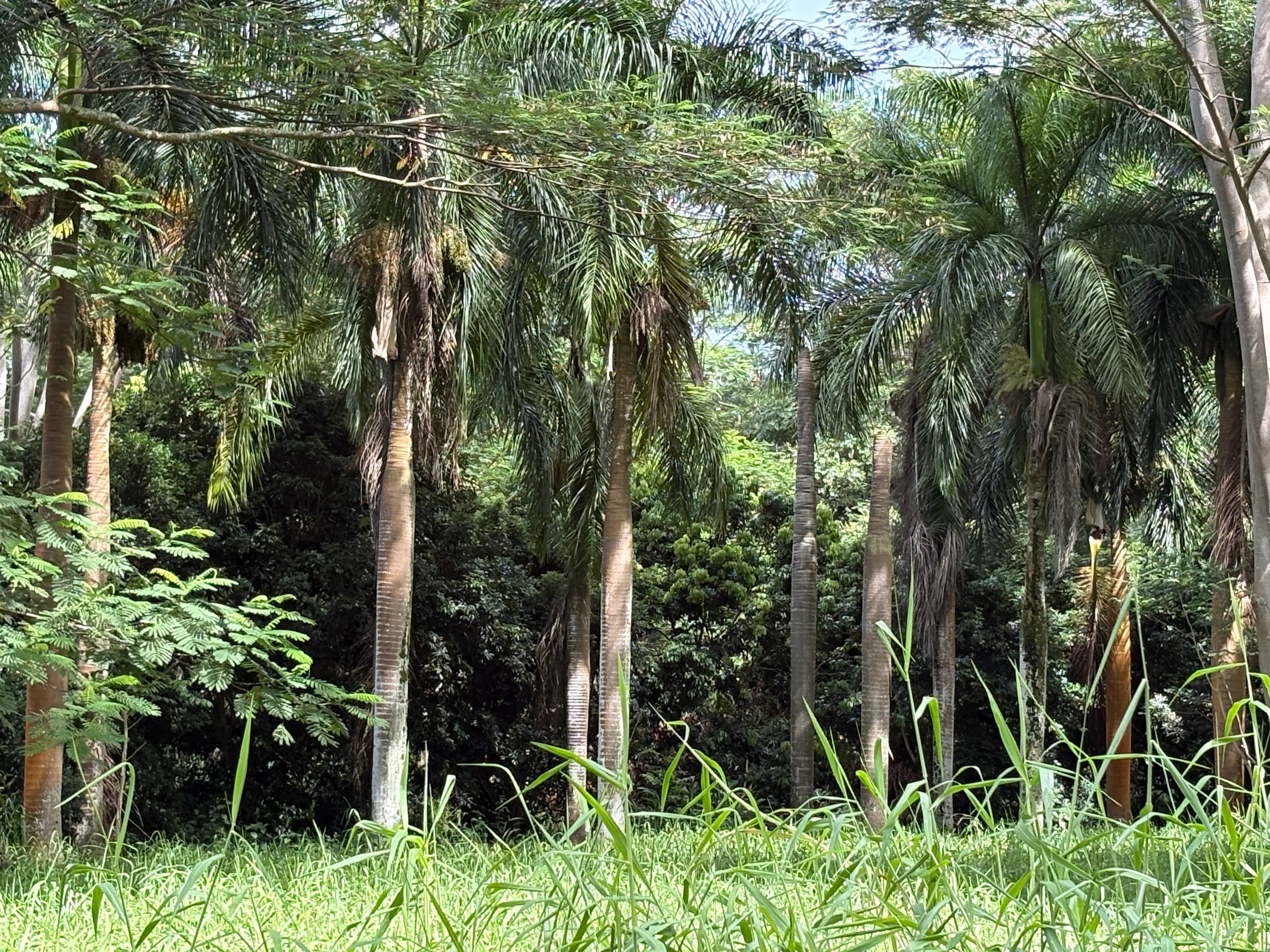 Photo of Listing #724906