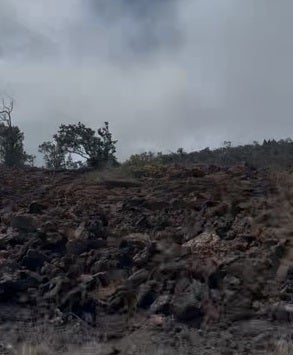 Photo of Listing #724987