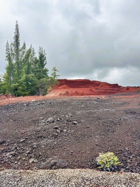 Photo of Listing #725251