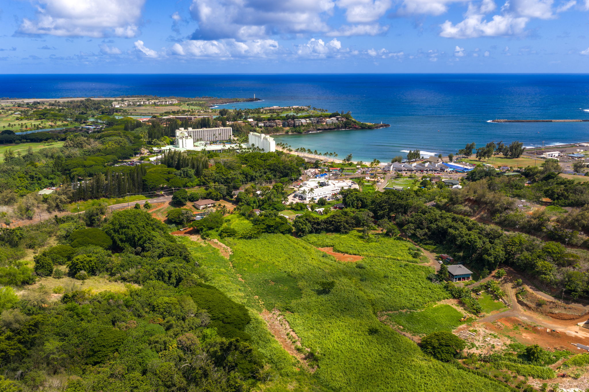 Photo of Listing #725651