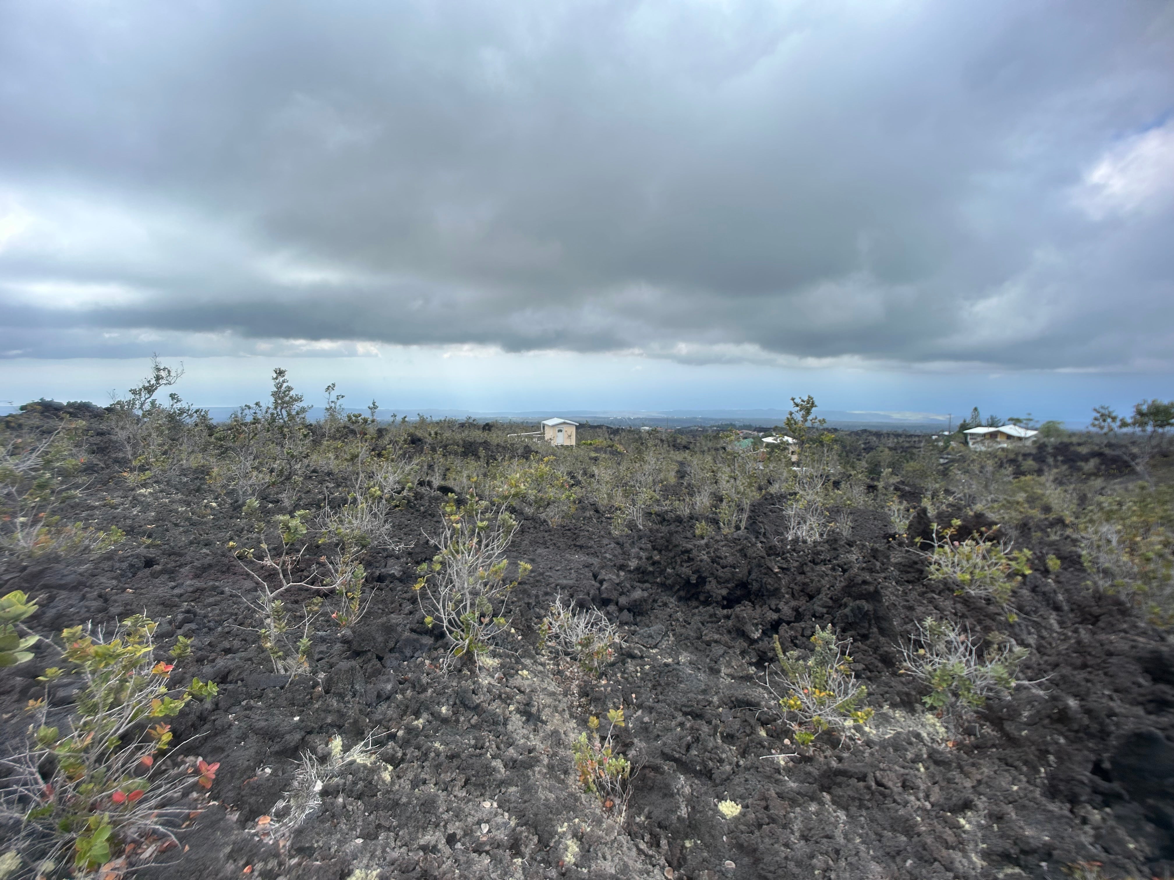 Photo of Listing #725684