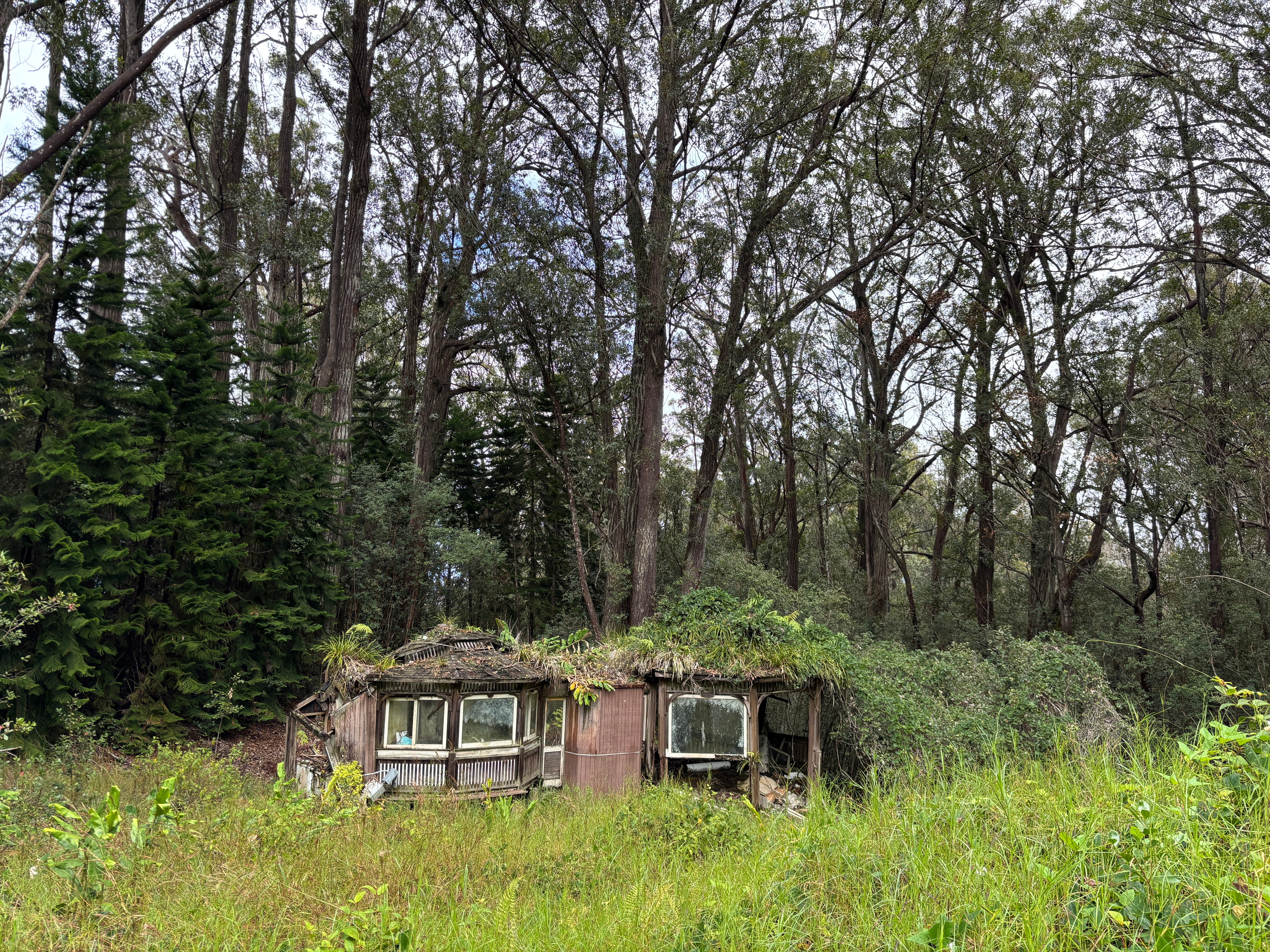 Photo of Listing #725708