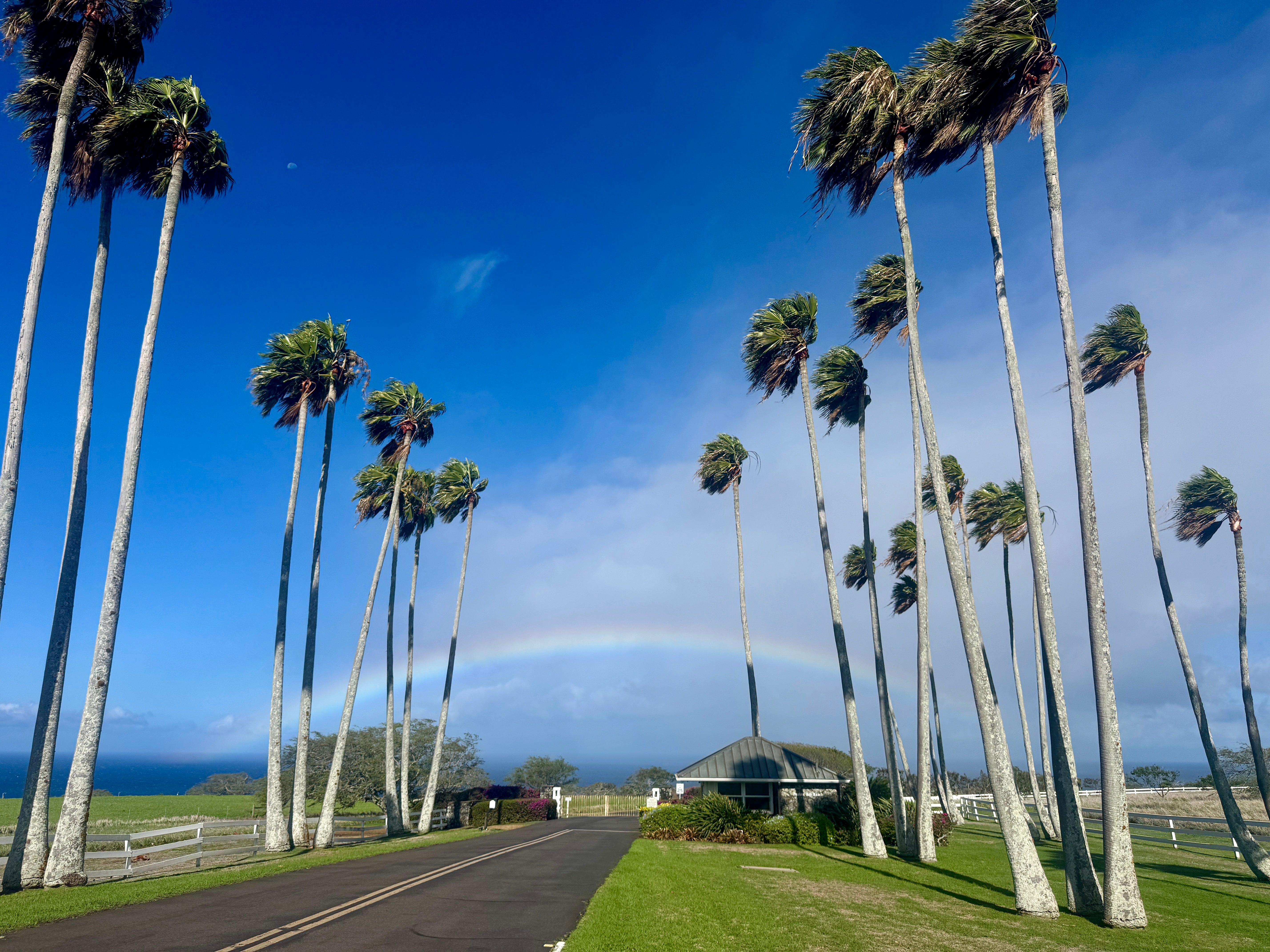 Photo of Listing #725710