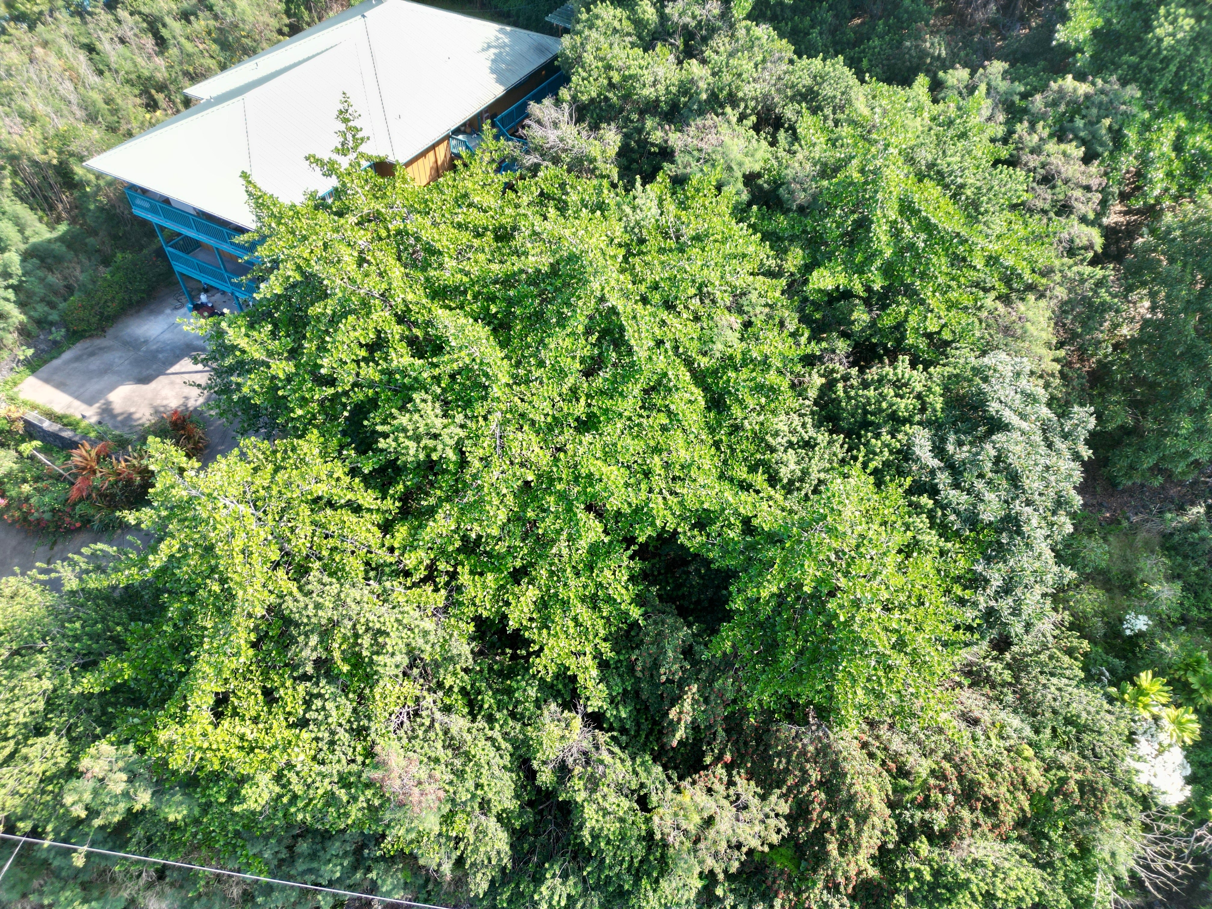 Photo of Listing #725808