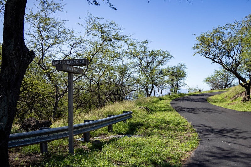 Photo of Listing #726017