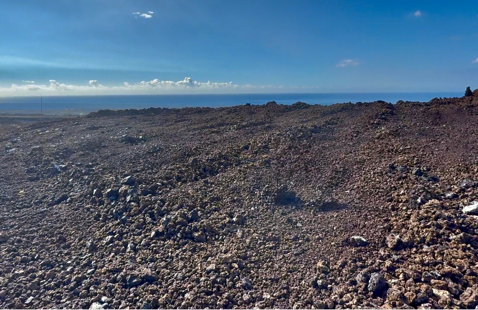 Photo of Listing #726043