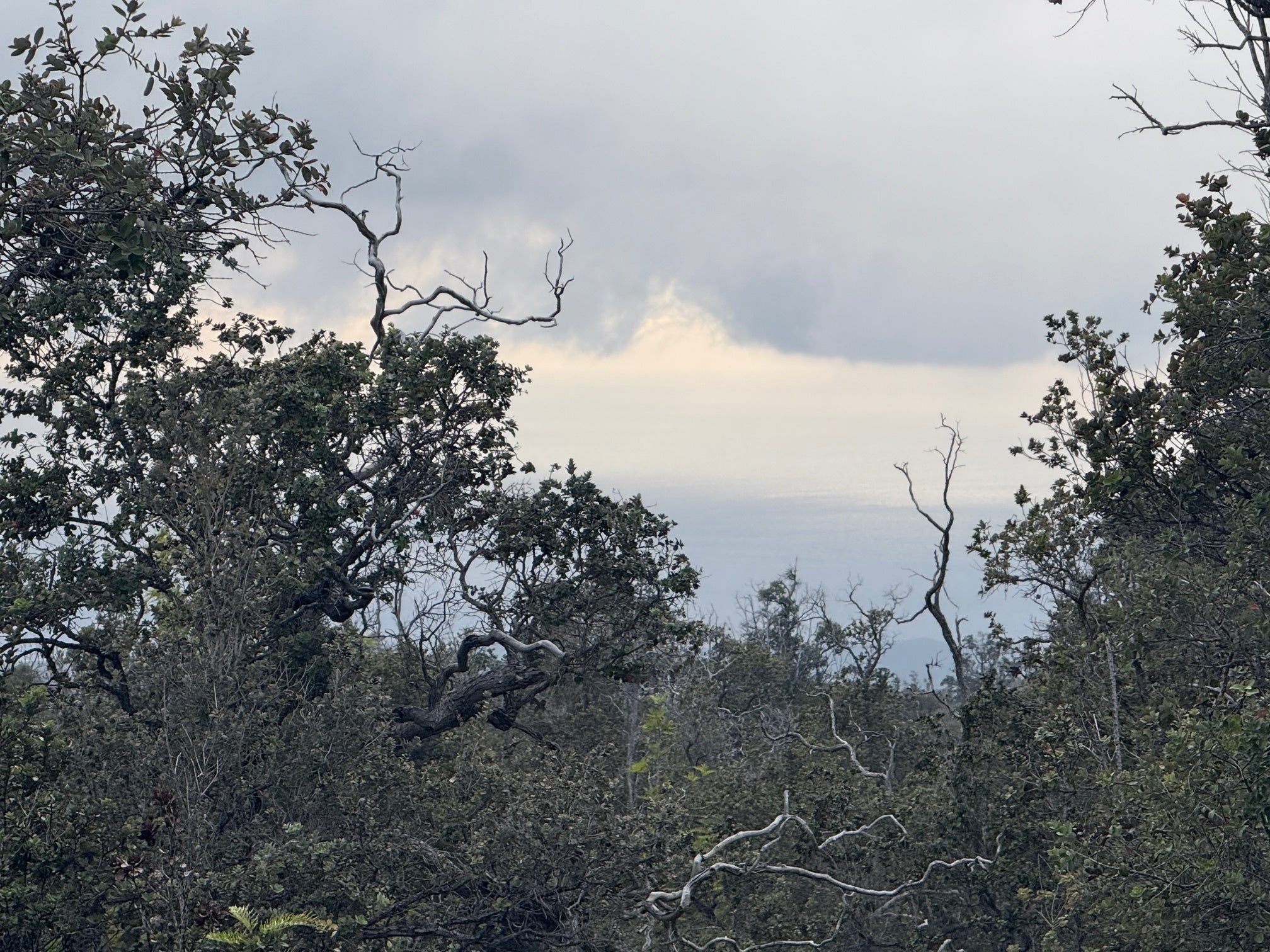 Photo of Listing #726088