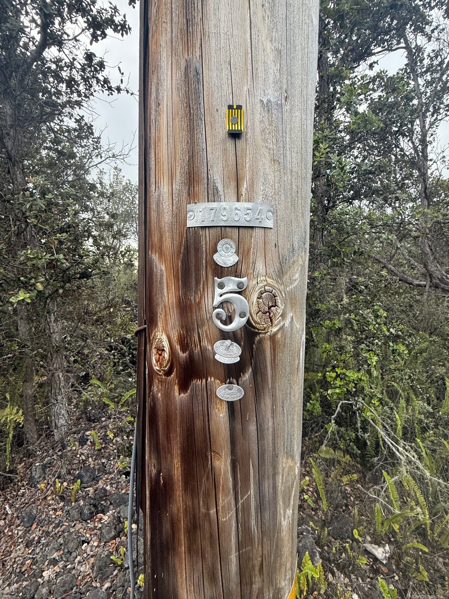 Photo of Listing #726089