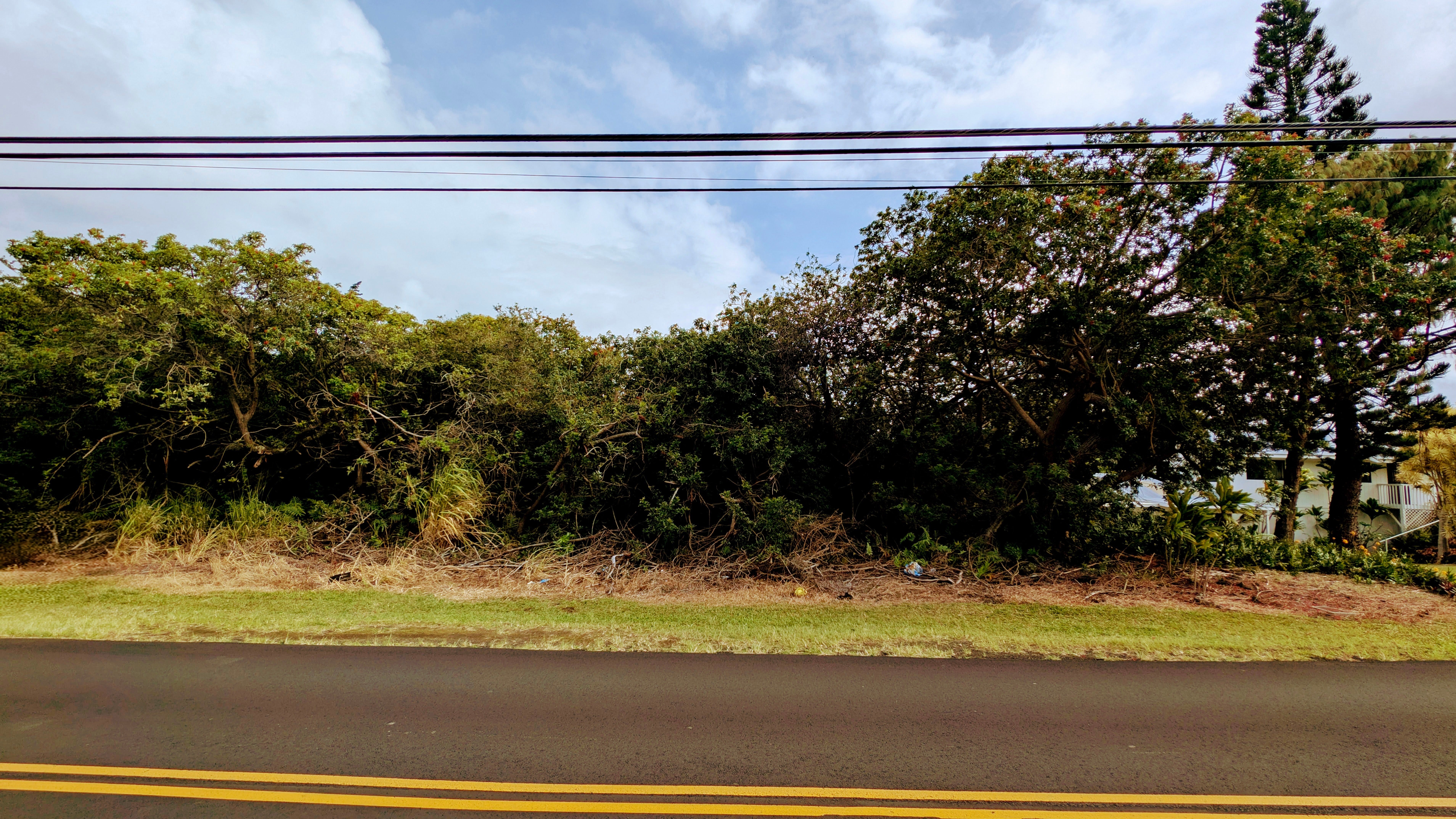 Photo of Listing #726127