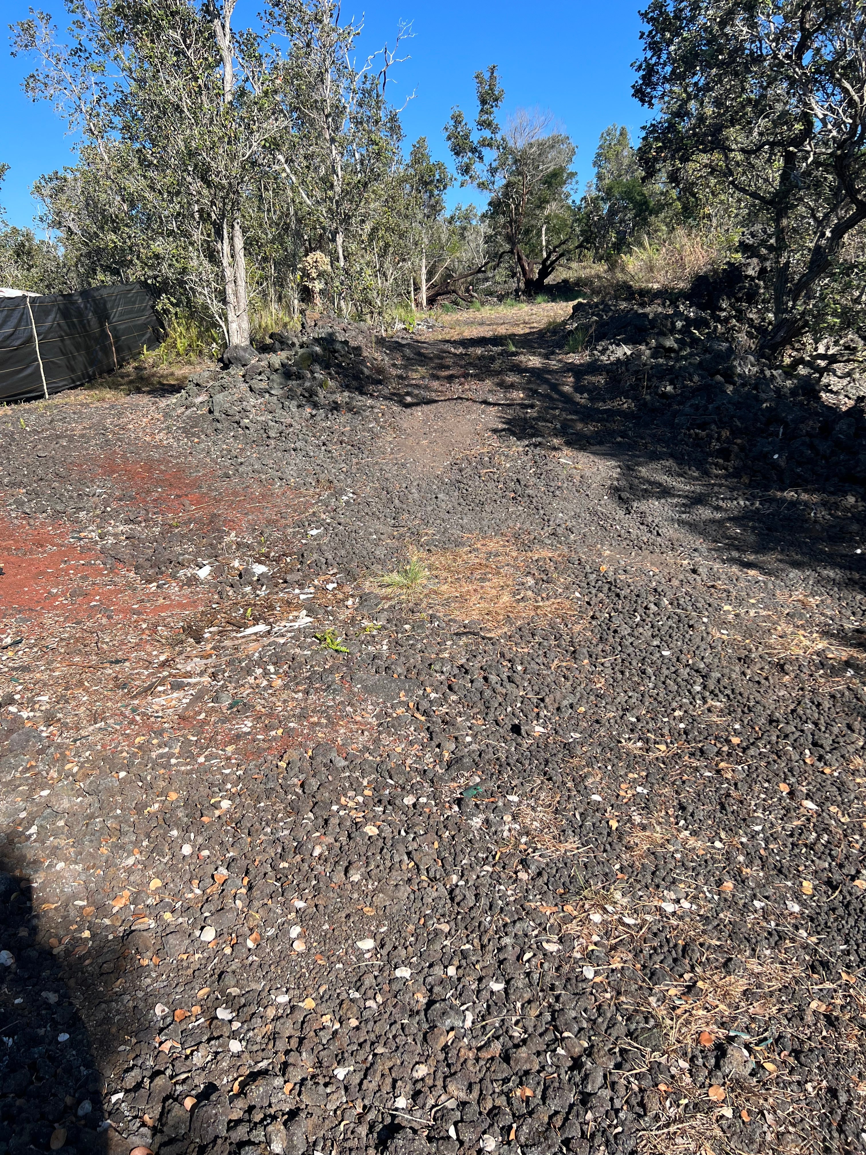 Photo of Listing #726172