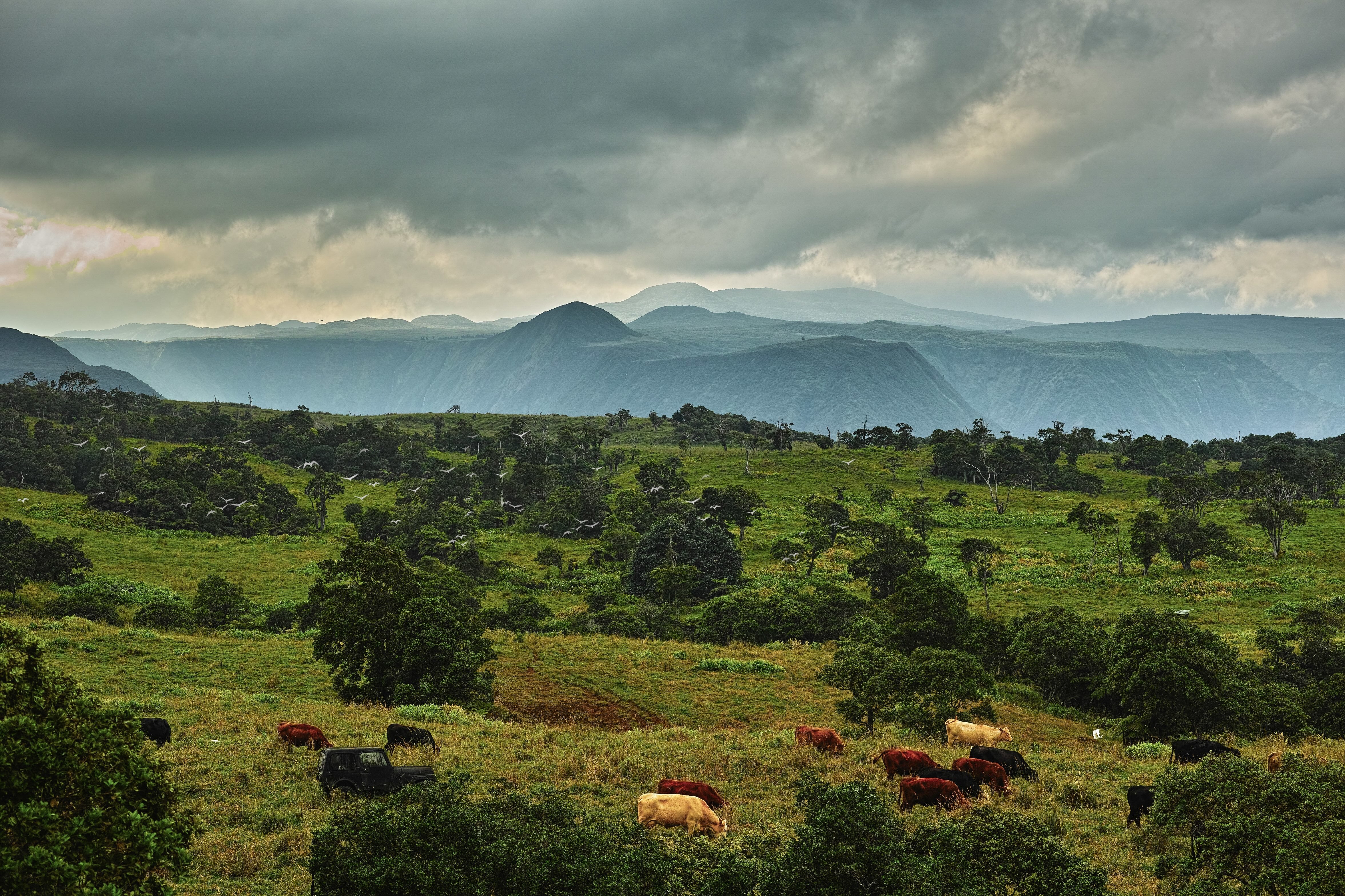 Photo of Listing #726219